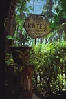 A rustic wooden sign reads 'FERNS BY KATE'S RESTAURANT & ROOMS AC SINCE 1988' amidst lush green tropical foliage. There are potted plants and a dispenser in the foreground, creating a verdant and inviting atmosphere.