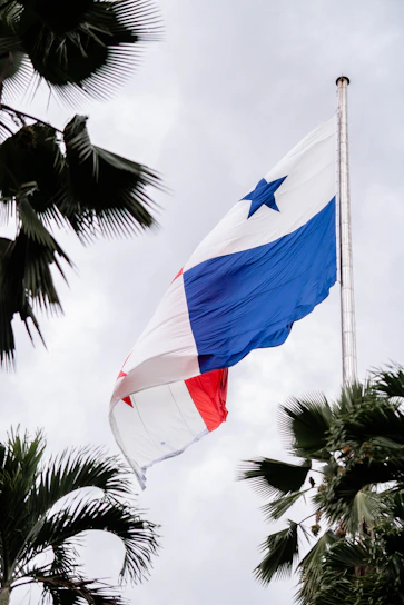 Flags waving during a peaceful SNCL Guadeloupe union demonstration in France, with a faint map of Guadeloupe in the background.