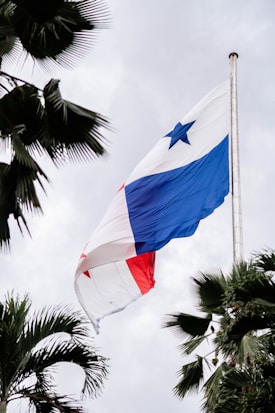 A large flag with blue, white, and red sections waves prominently on a flagpole against a cloudy sky. Tall palm trees are seen framing the flag, adding a tropical element.