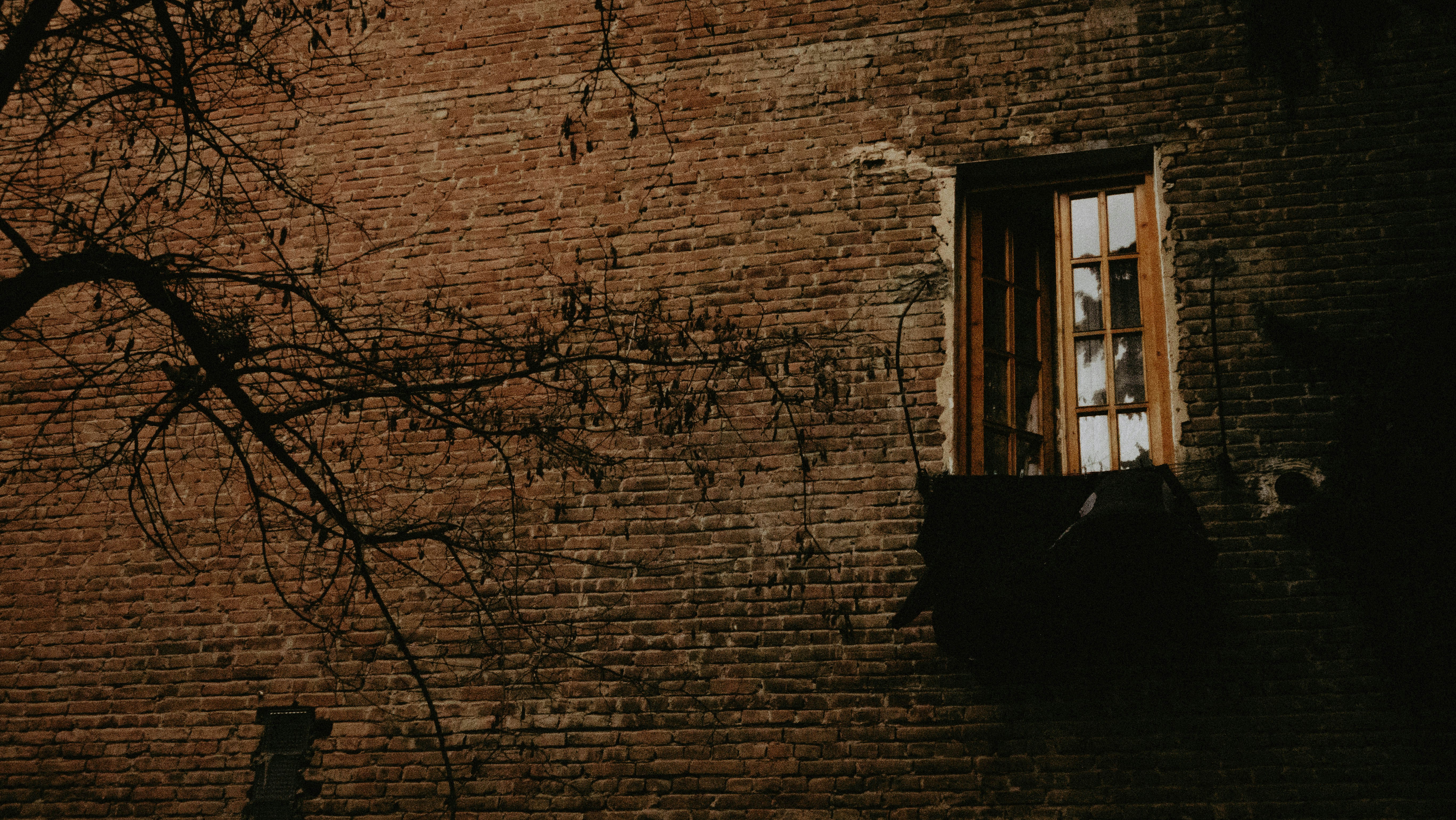 Photo by shadesofdecay