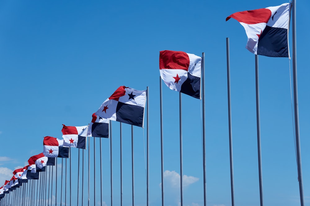 Eine Reihe von Flaggen des Bundesstaates Texas wehen im Wind