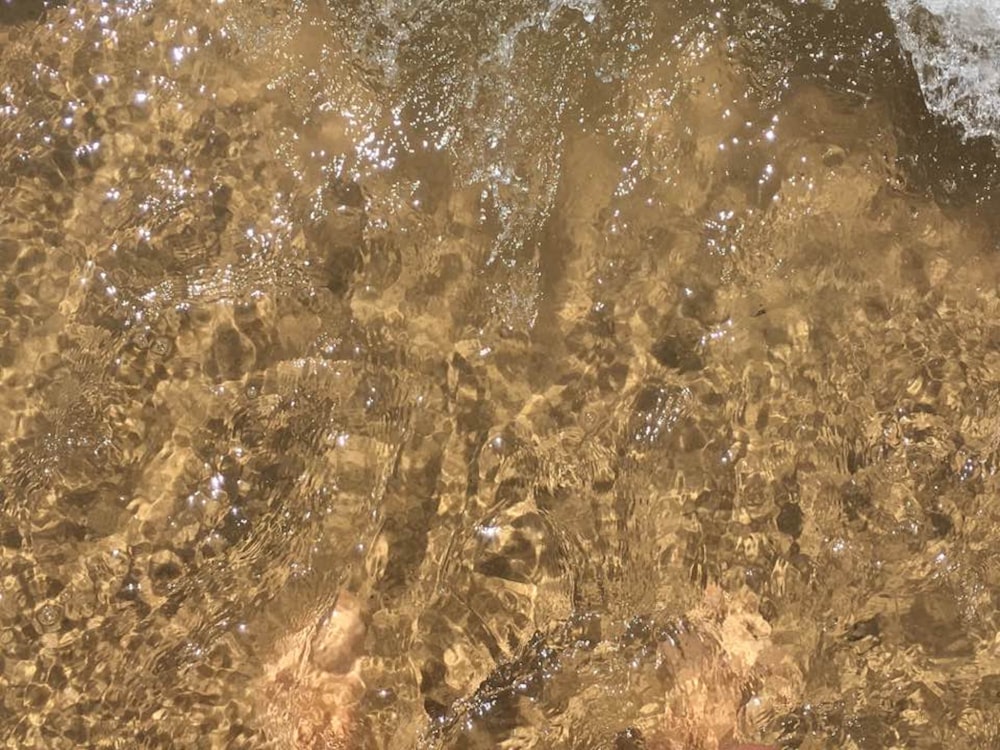 Un primo piano di acqua e sabbia su una spiaggia