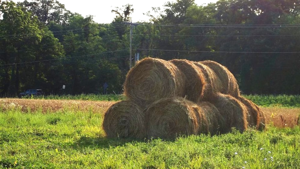 a large pile of hay sitting on top of a lush green field