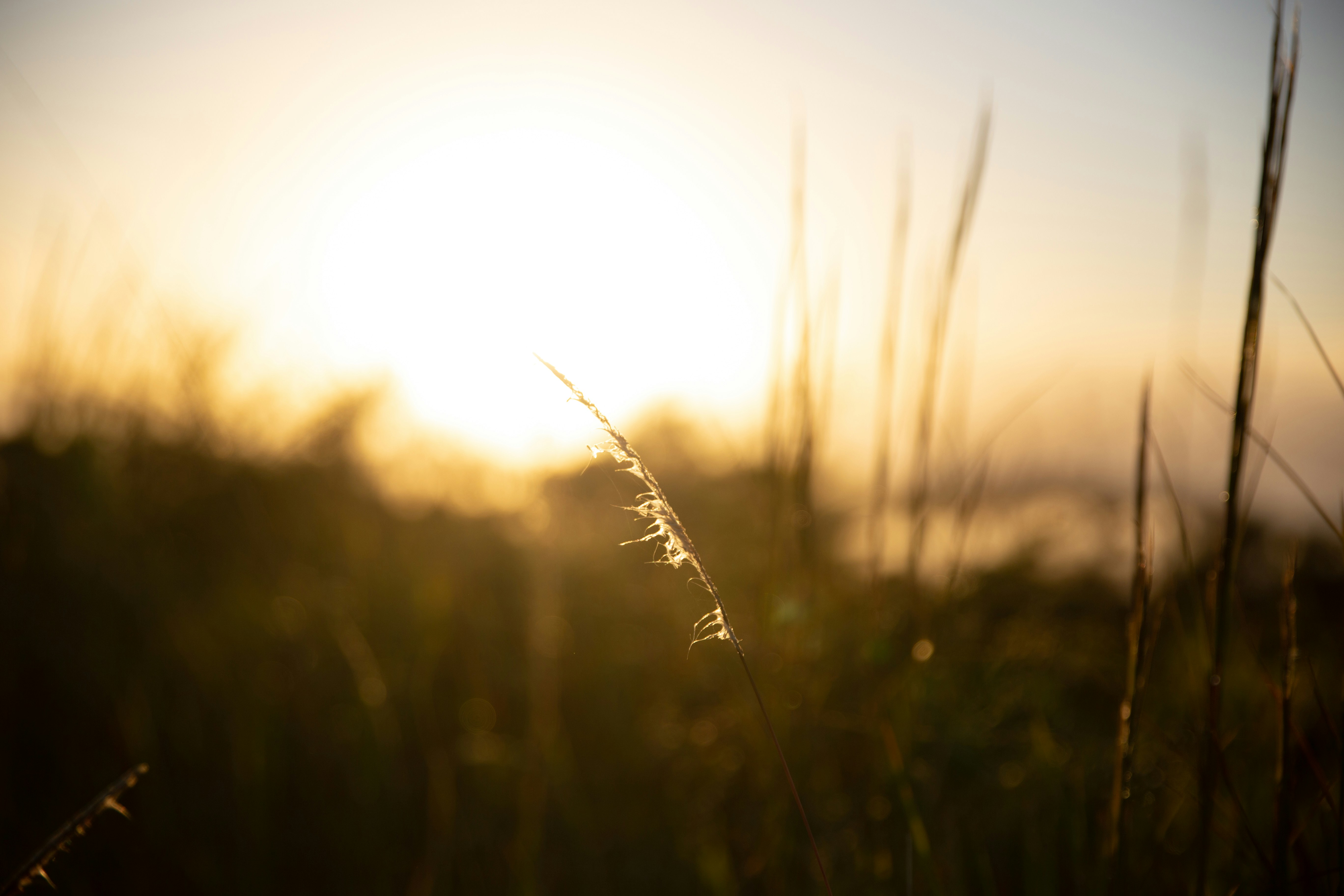 Photo by alexandrakmita