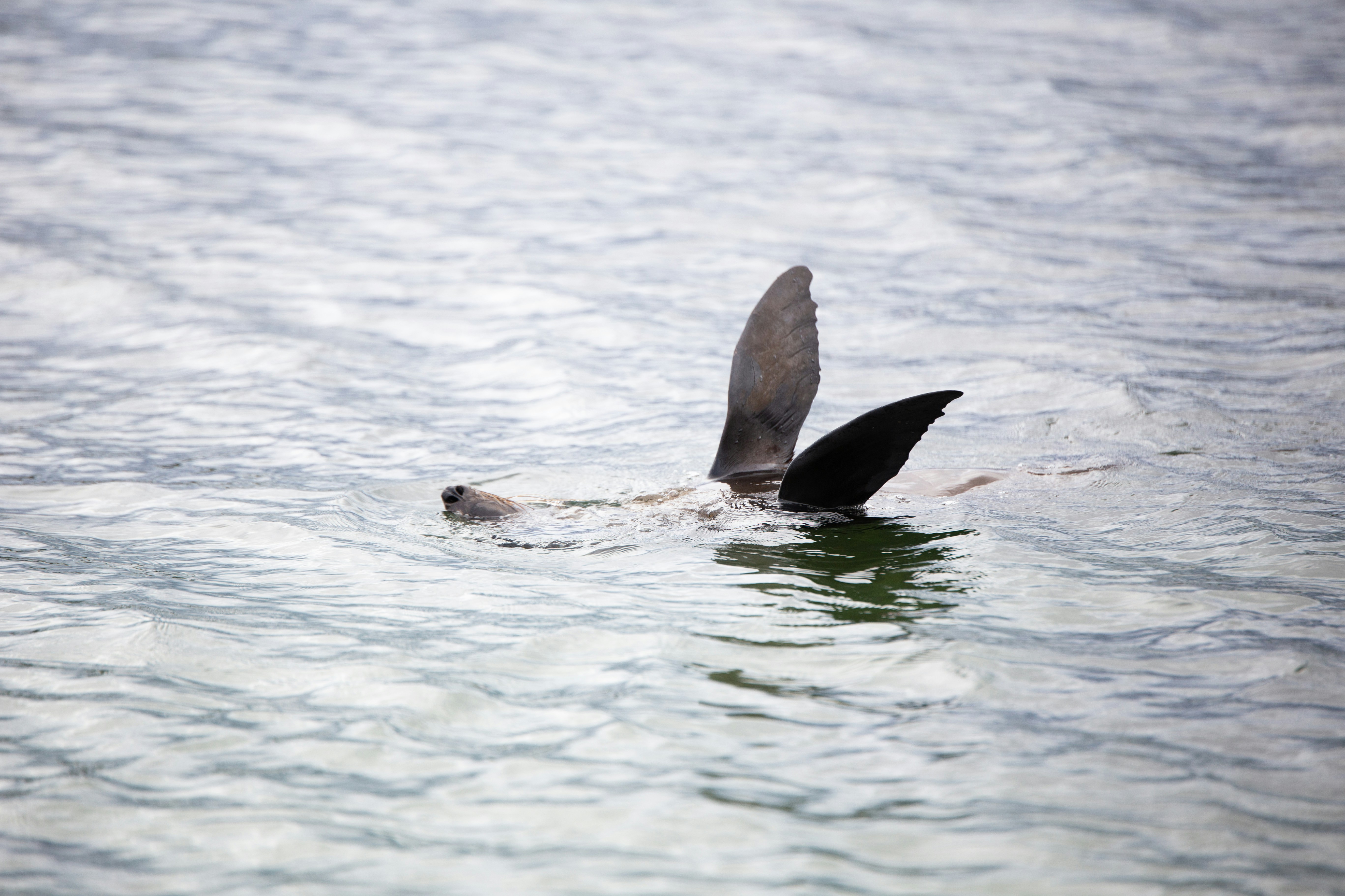 Photo by alexandrakmita