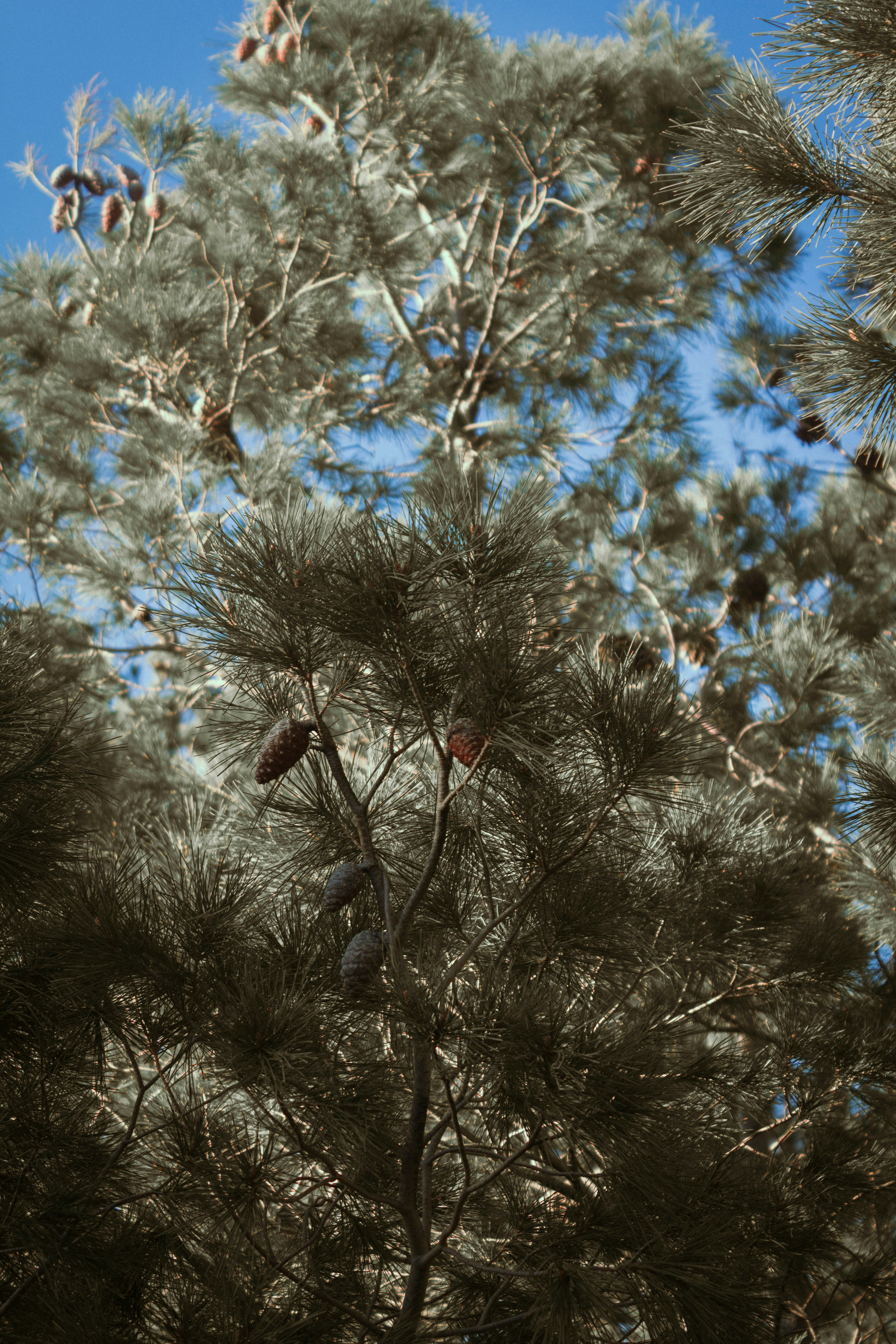 Photo by tomarquize