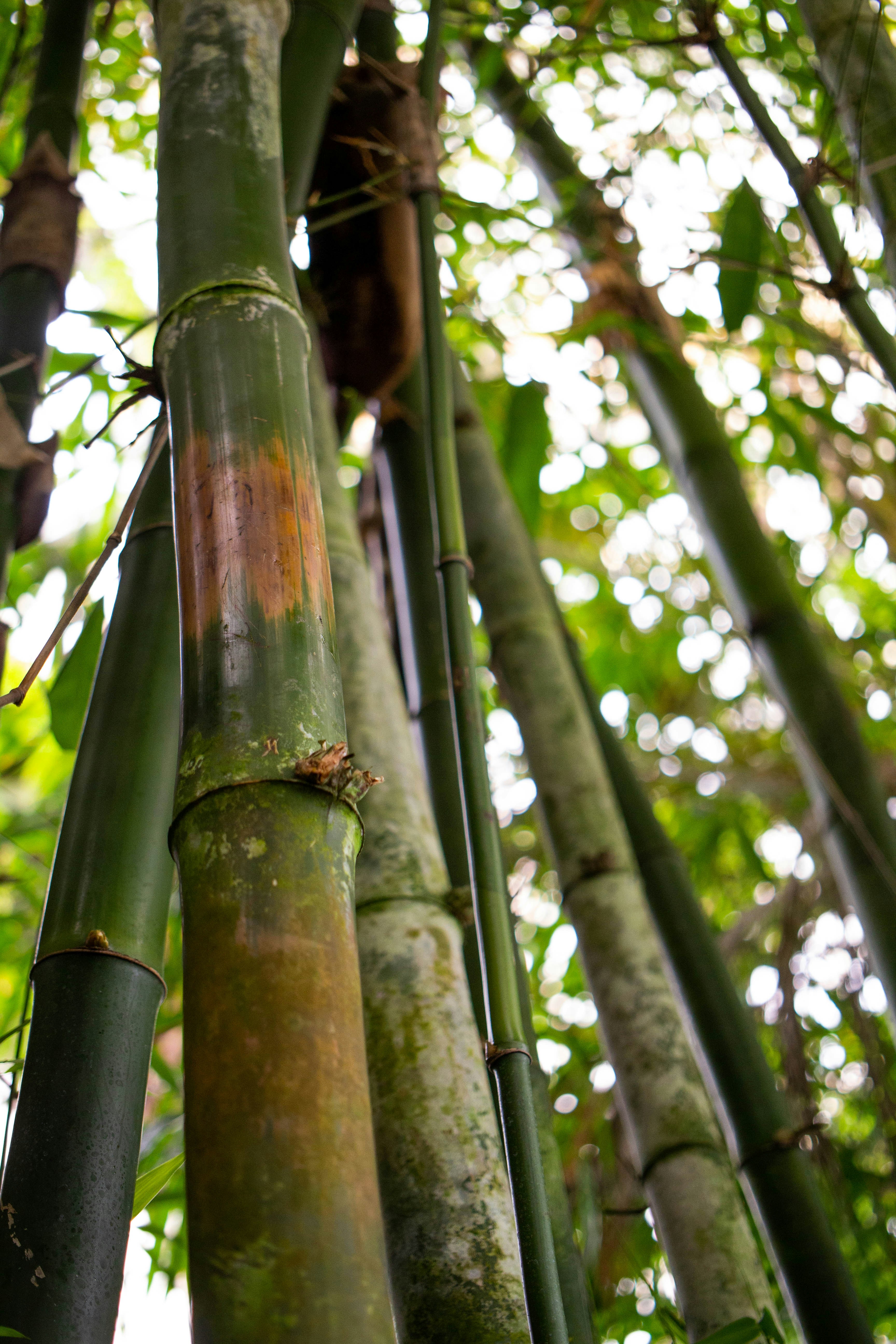 Photo by jennys_eye0