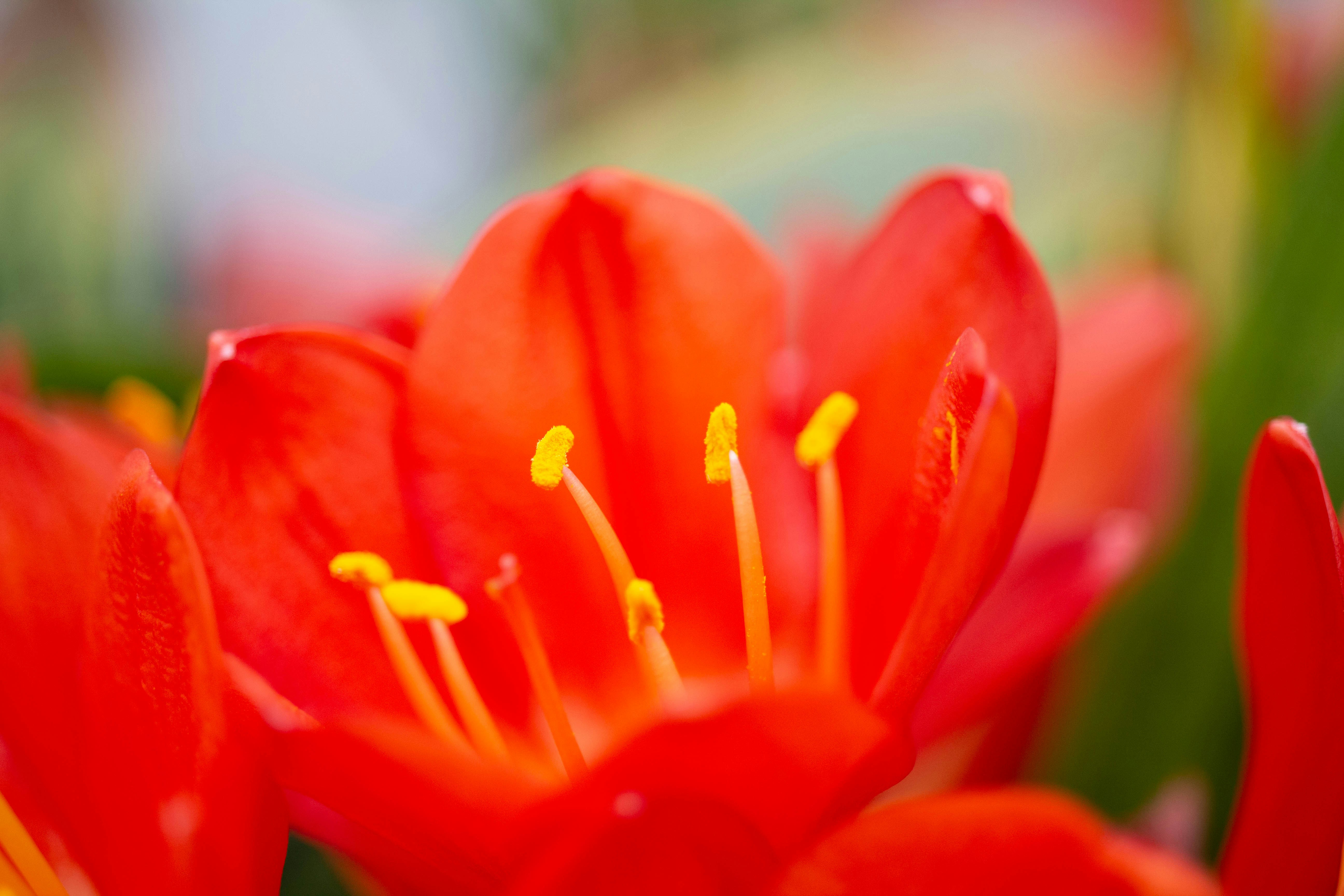 Photo by jennys_eye0