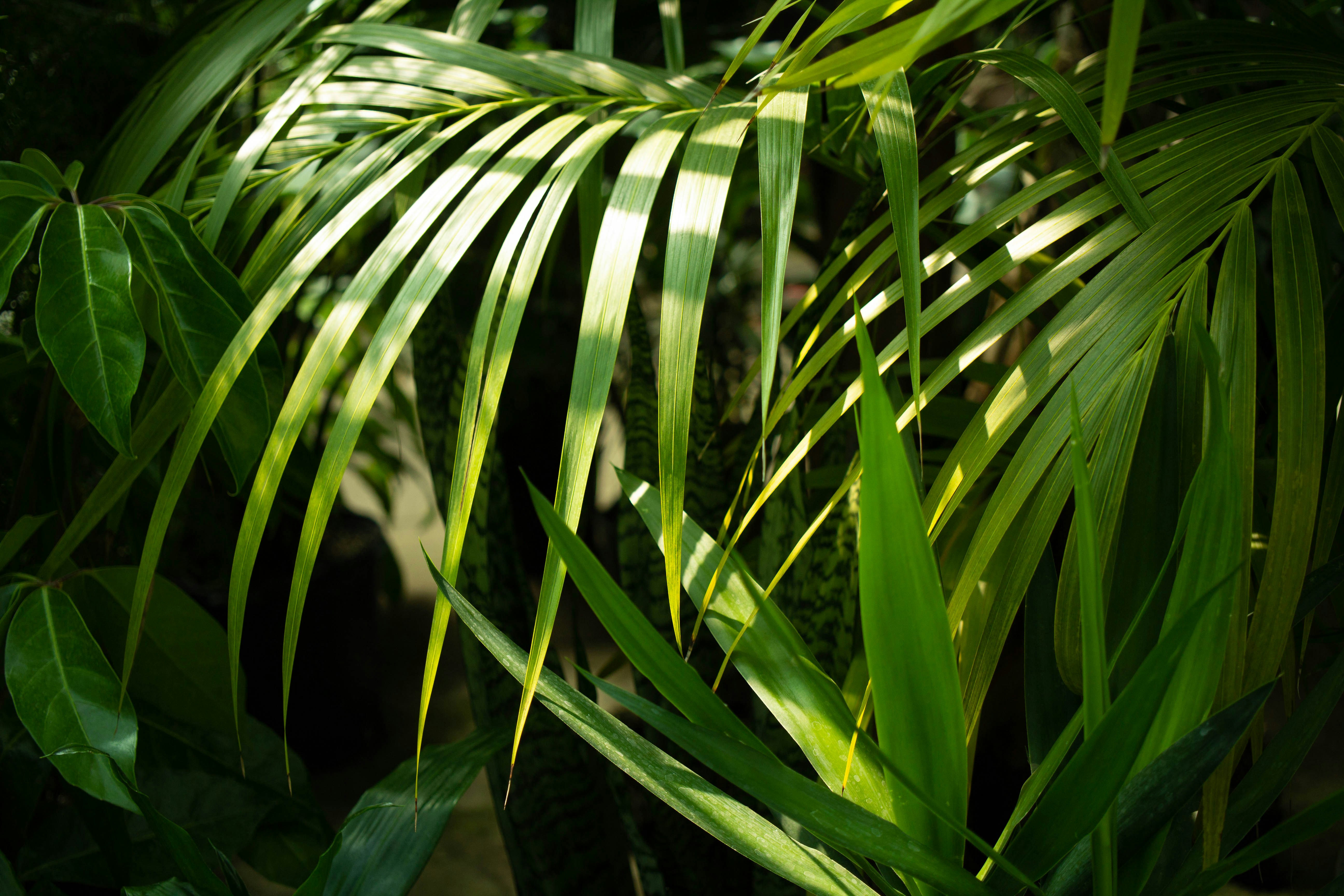 Photo by jennys_eye0