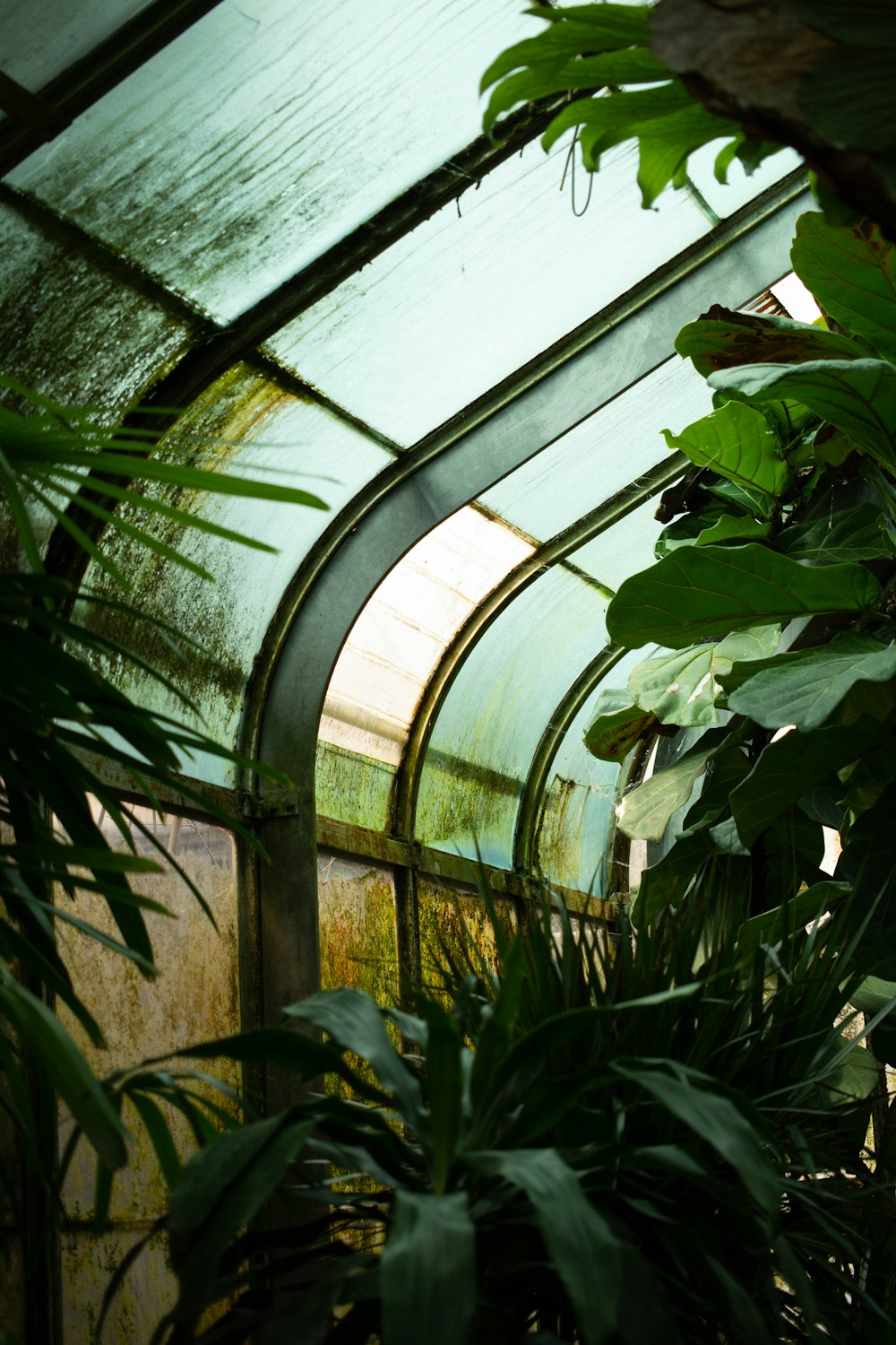 a green house with plants growing inside of it