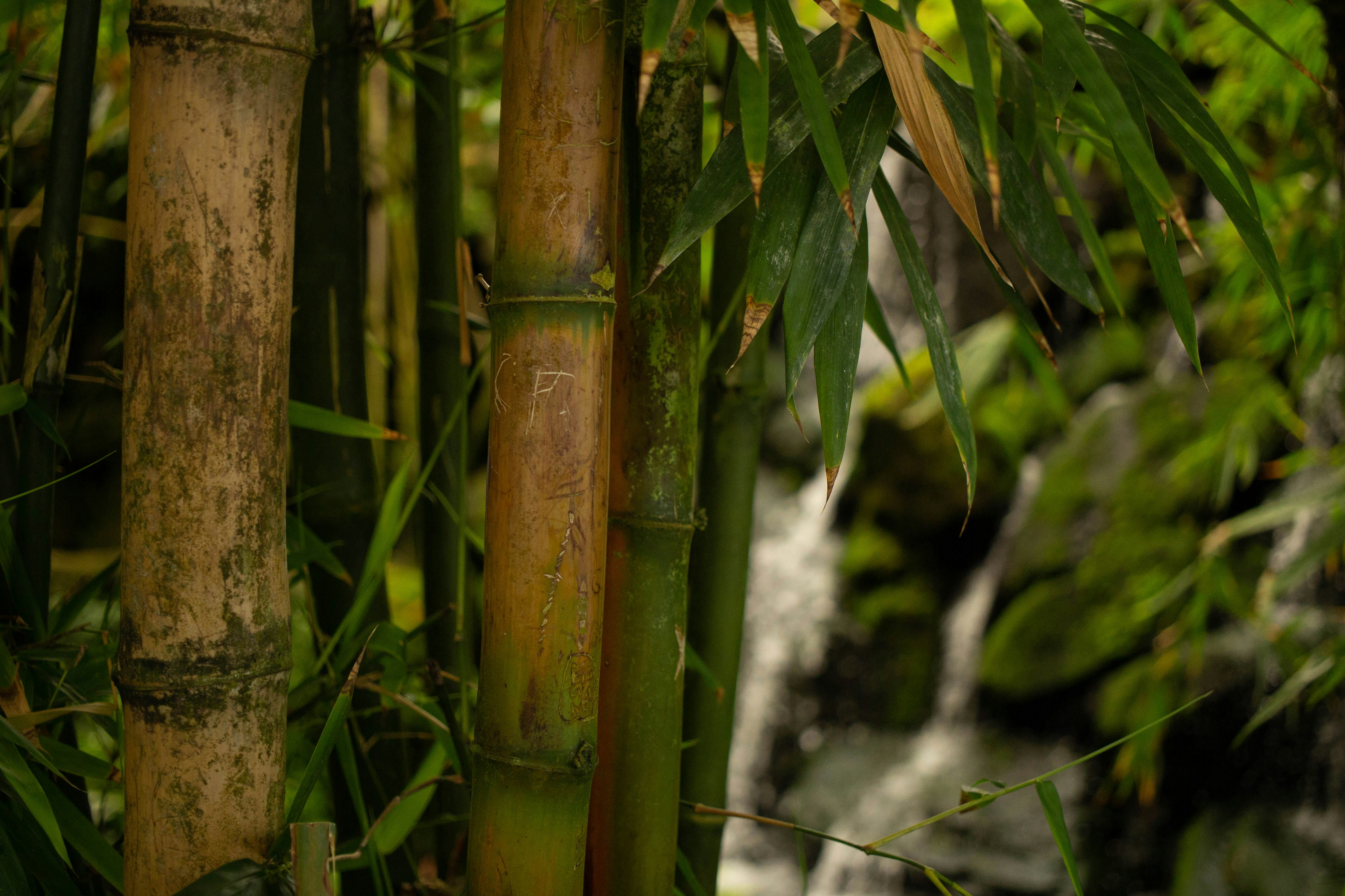 Photo by jennys_eye0