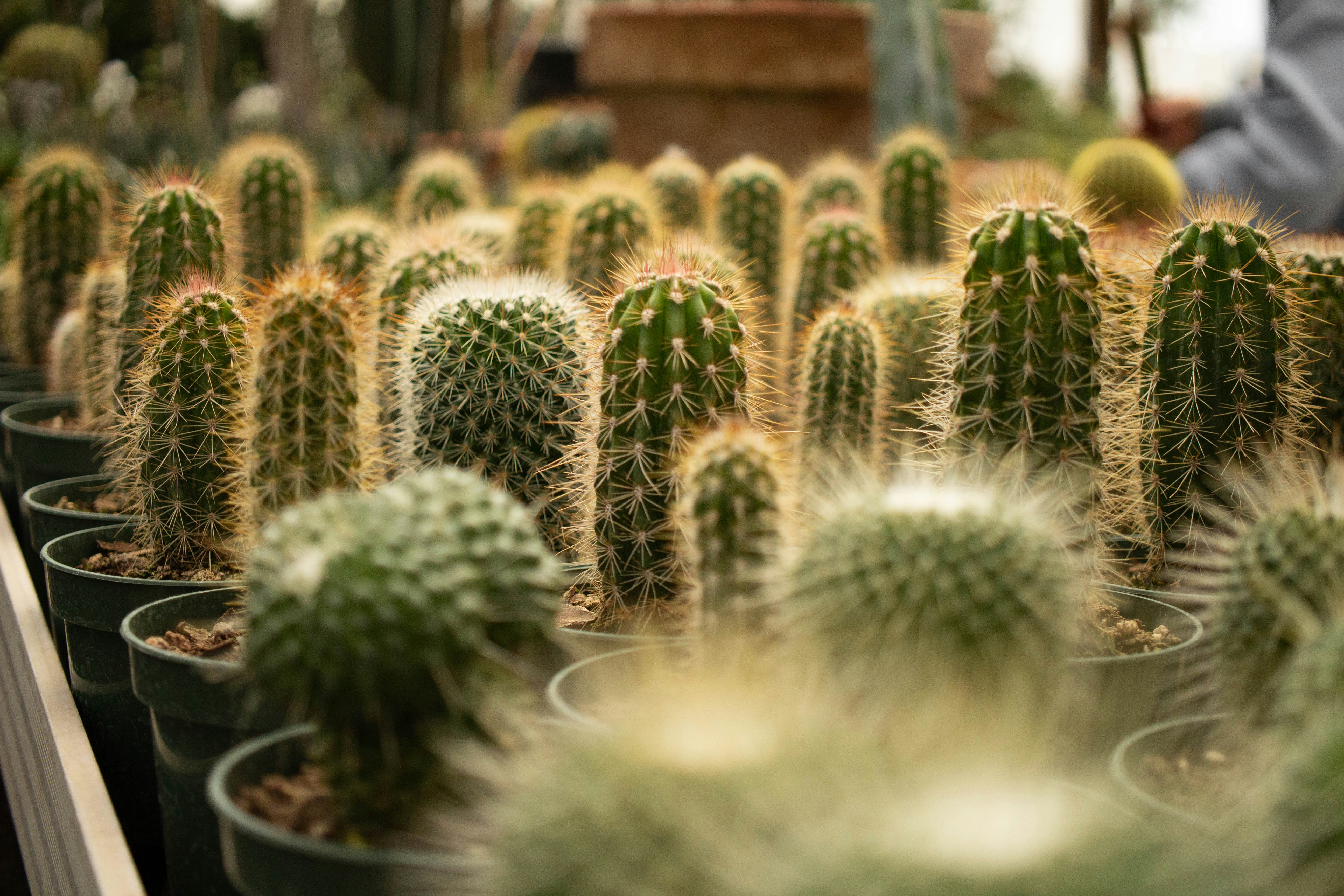 Photo by jennys_eye0