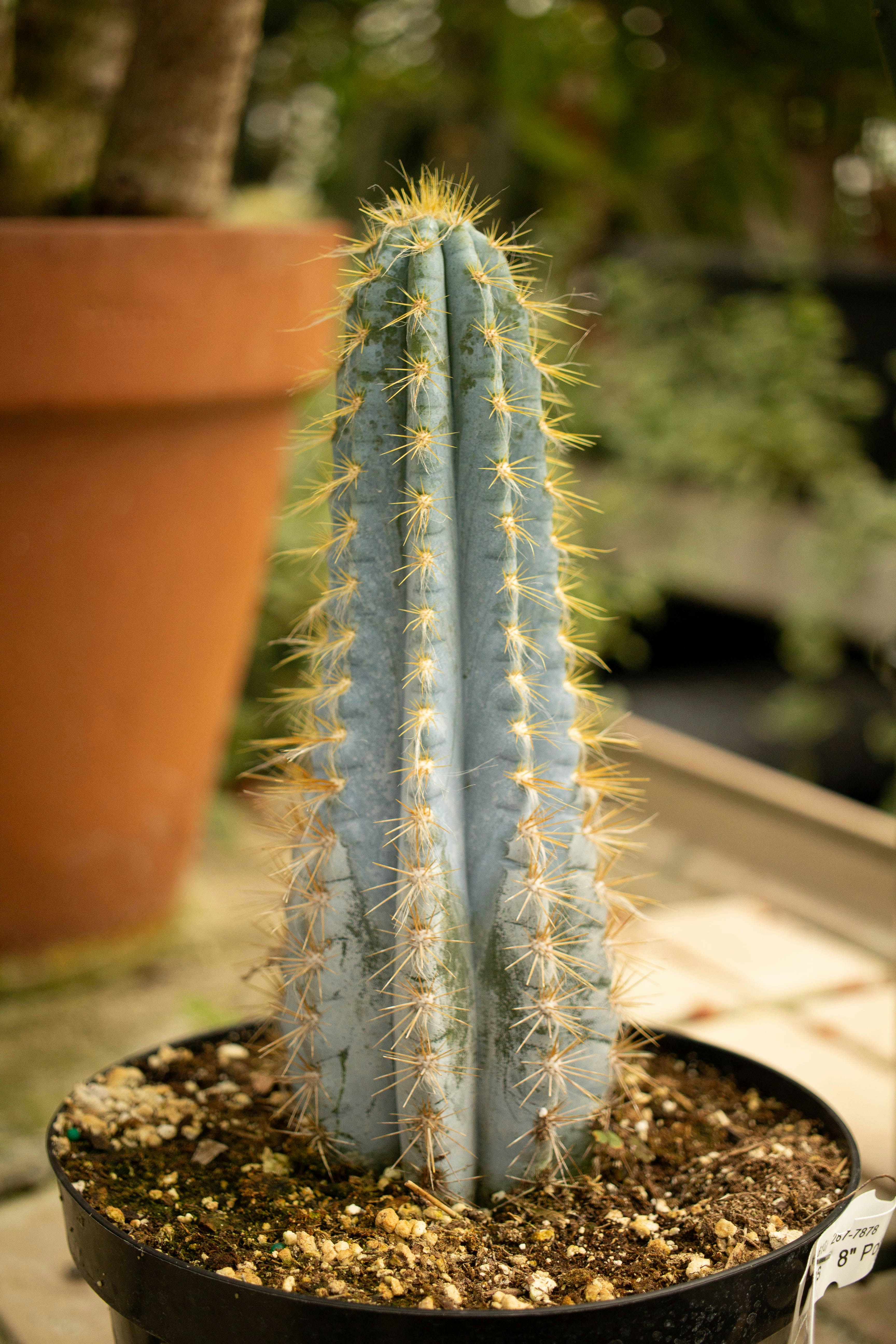 Photo by jennys_eye0