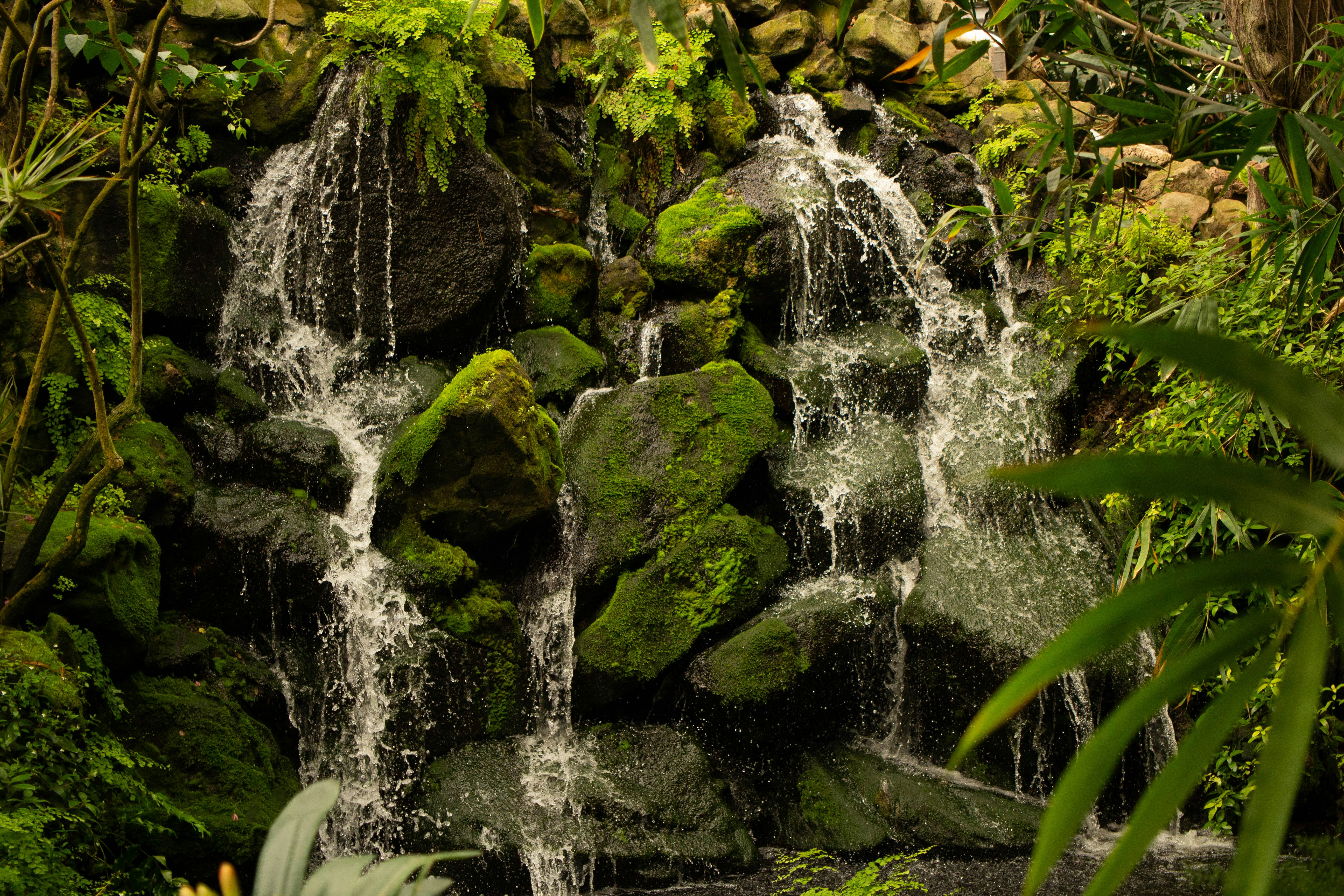 Photo by jennys_eye0