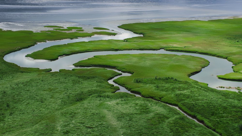 Un fiume che attraversa un rigoglioso campo verde