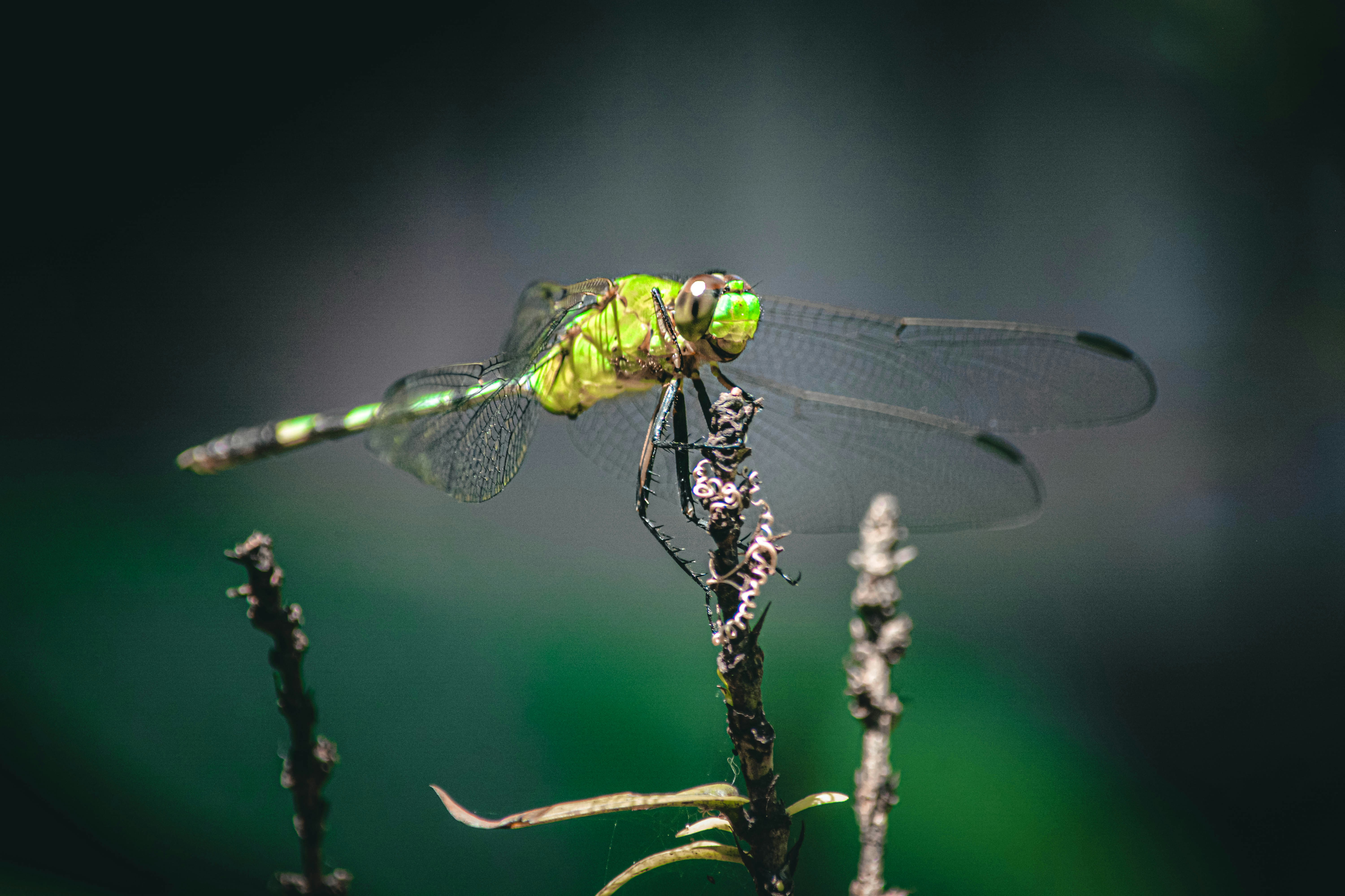 Photo by vincegonzav