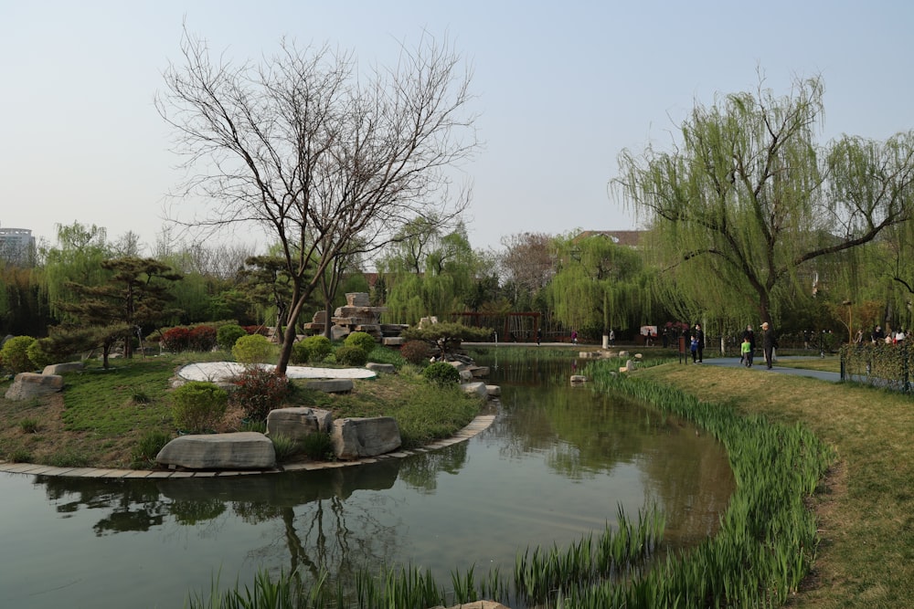 a pond in a park surrounded by grass and trees