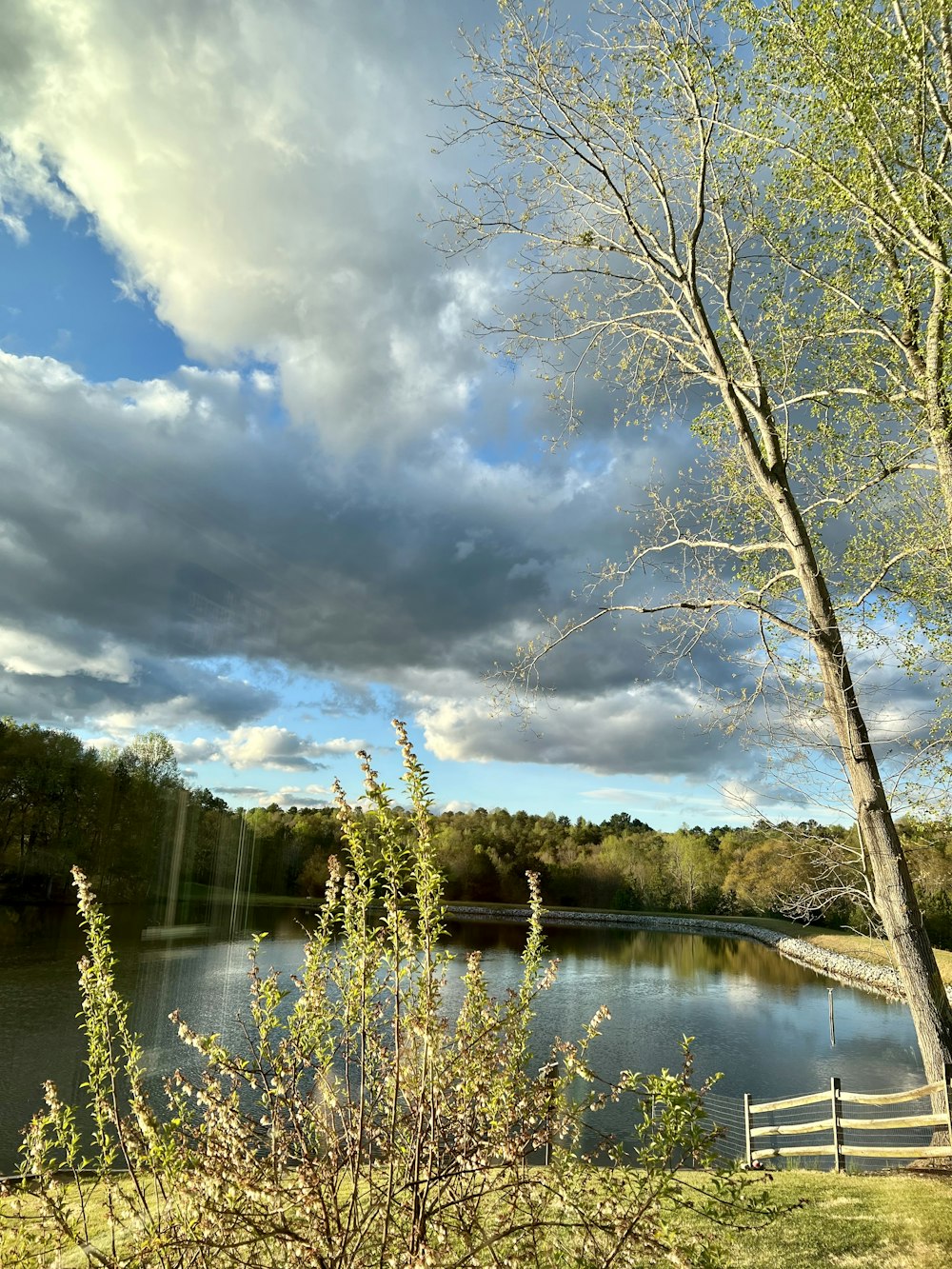 a lake surrounded by trees and grass under a cloudy sky