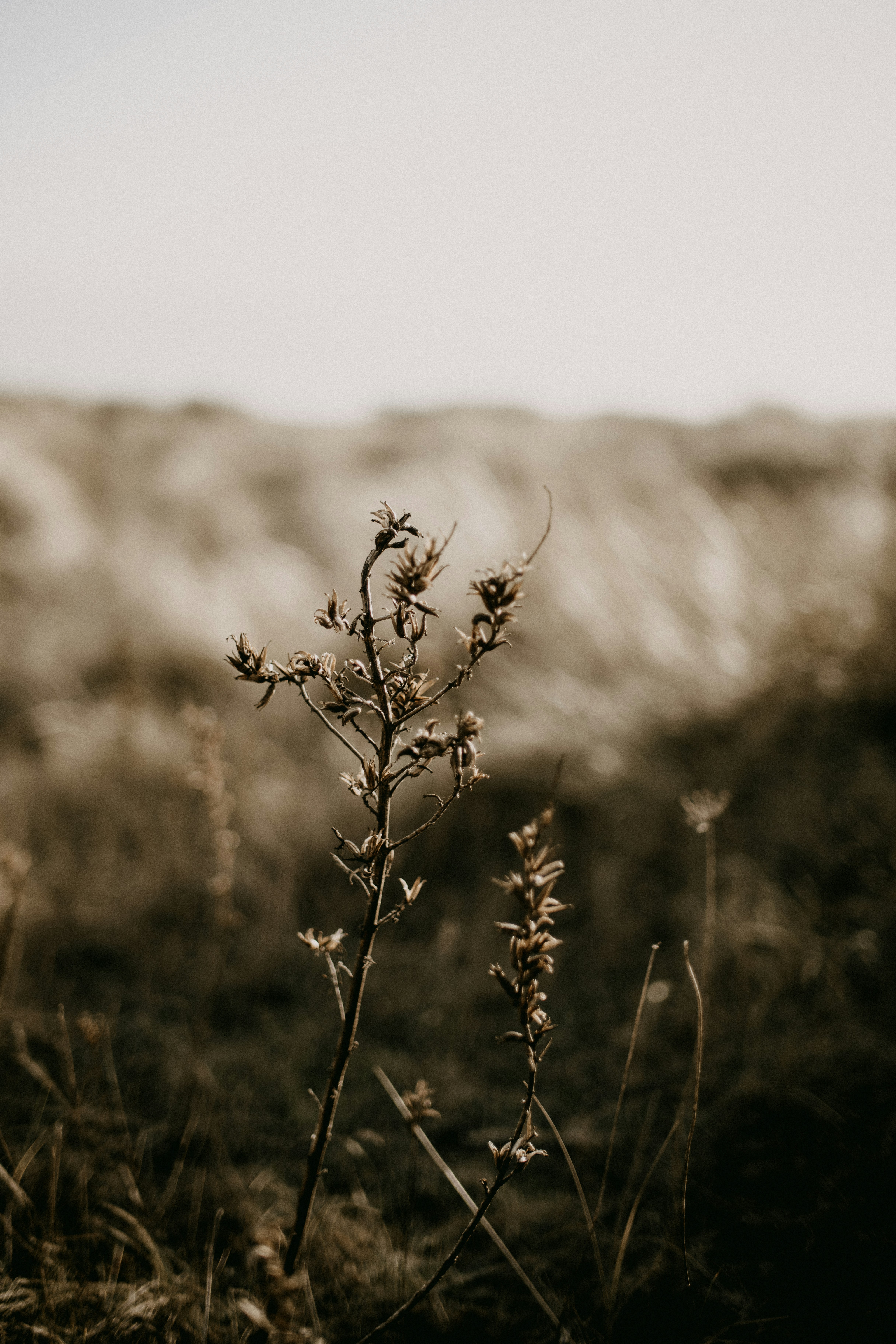 Photo by anniespratt