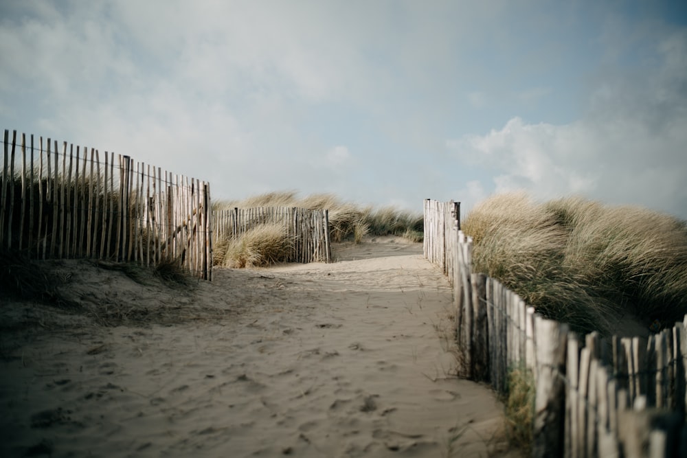 a sandy path leading to a sandy beach