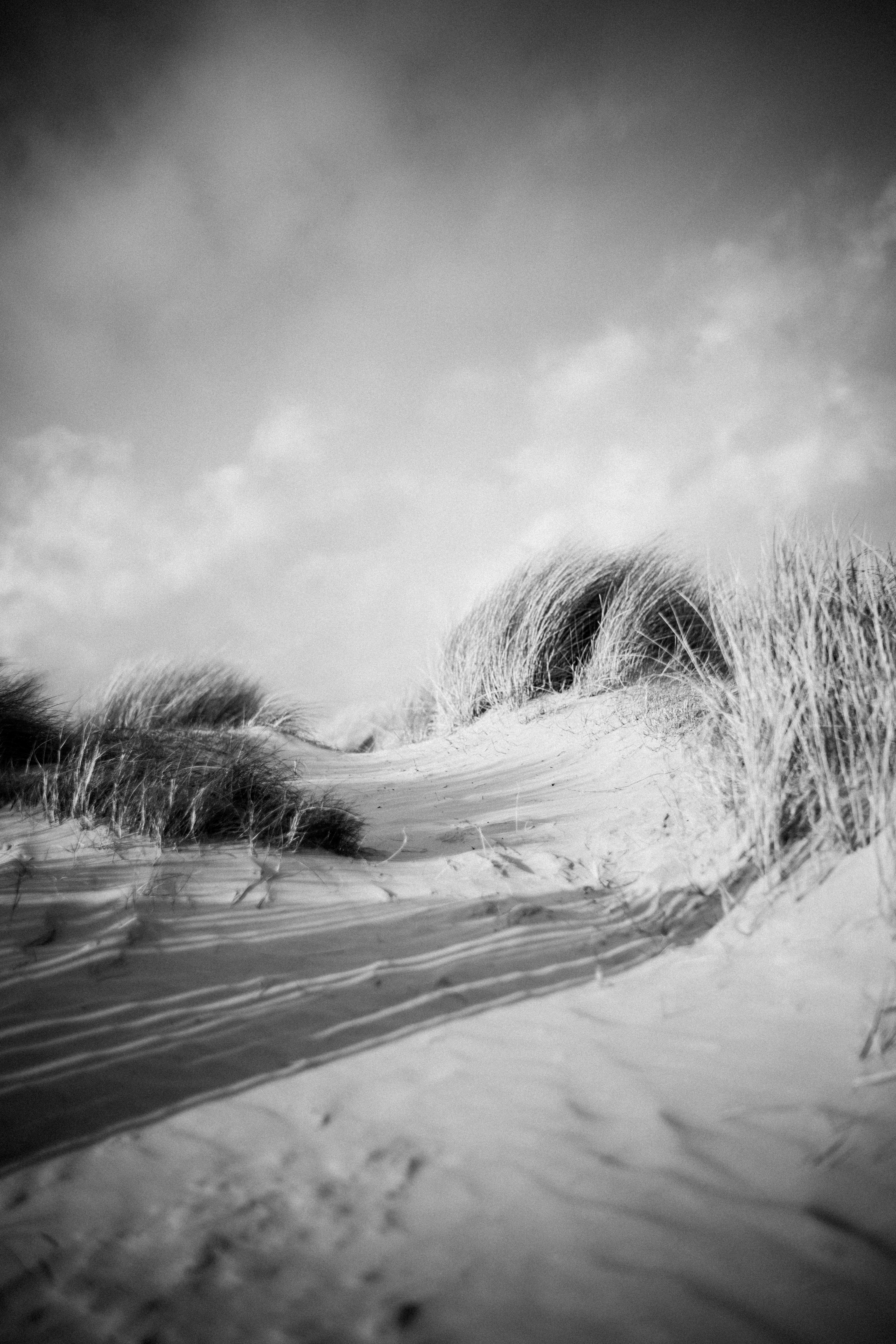 Photo by anniespratt
