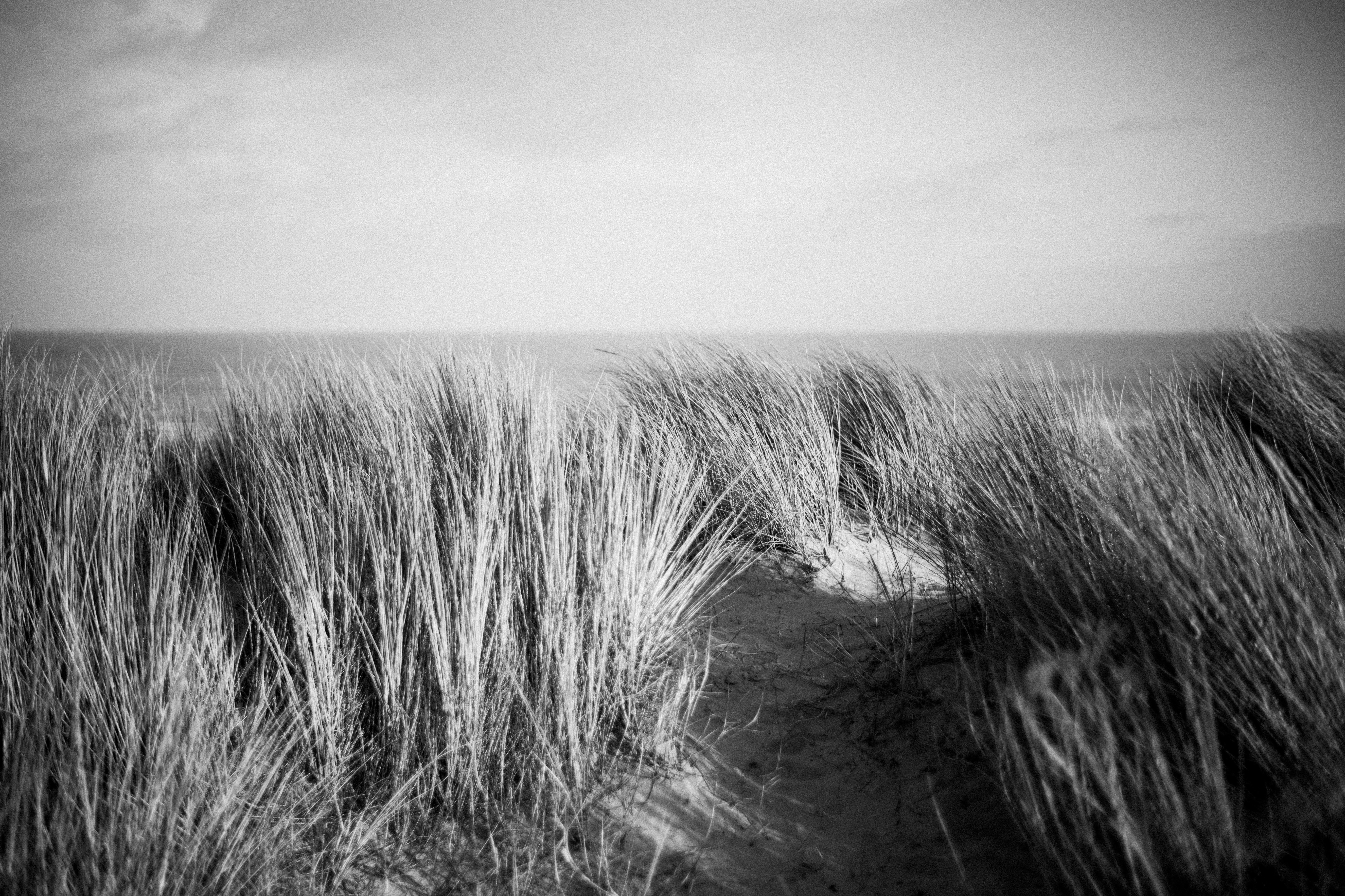 Photo by anniespratt