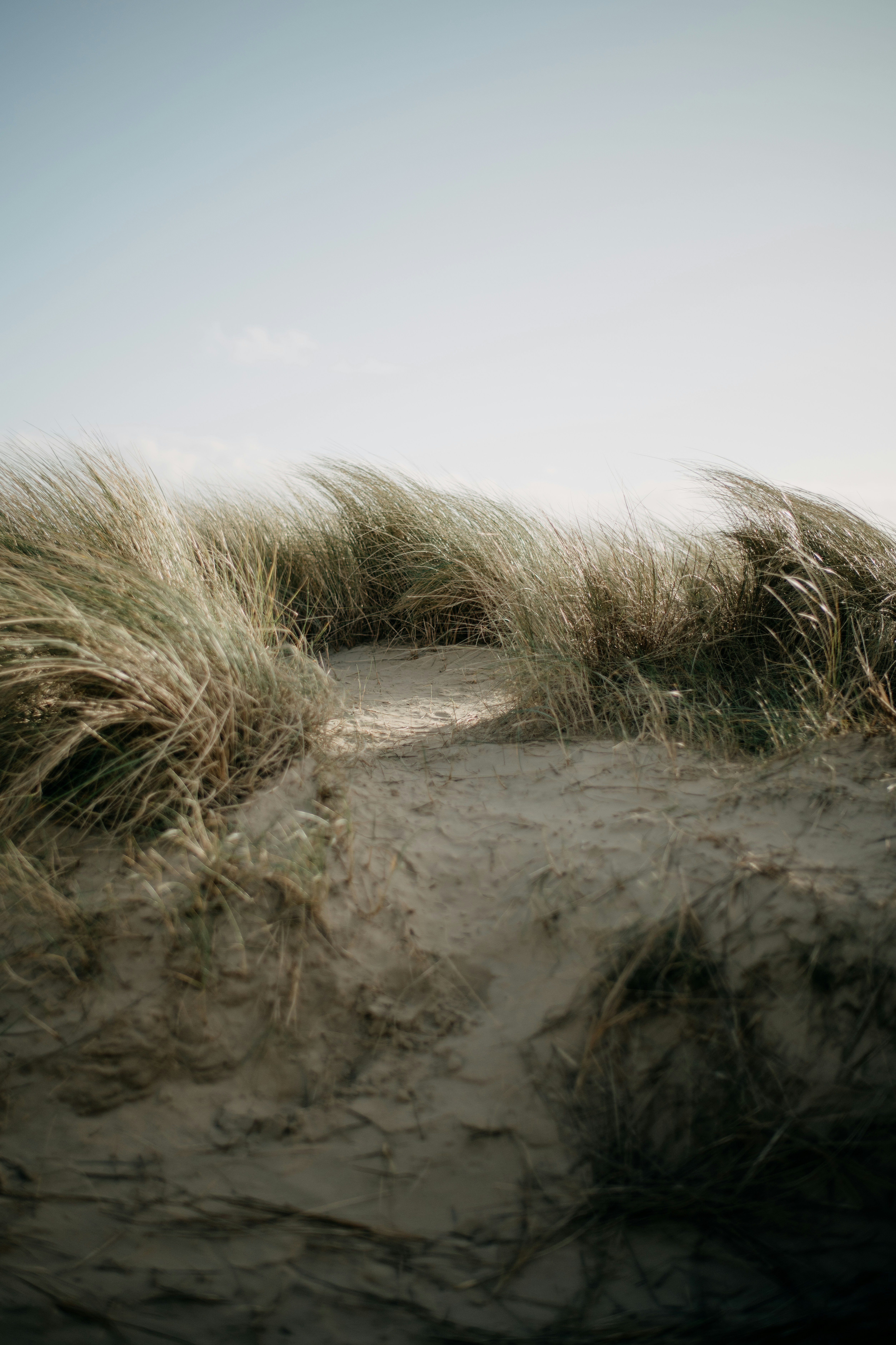 Photo by anniespratt