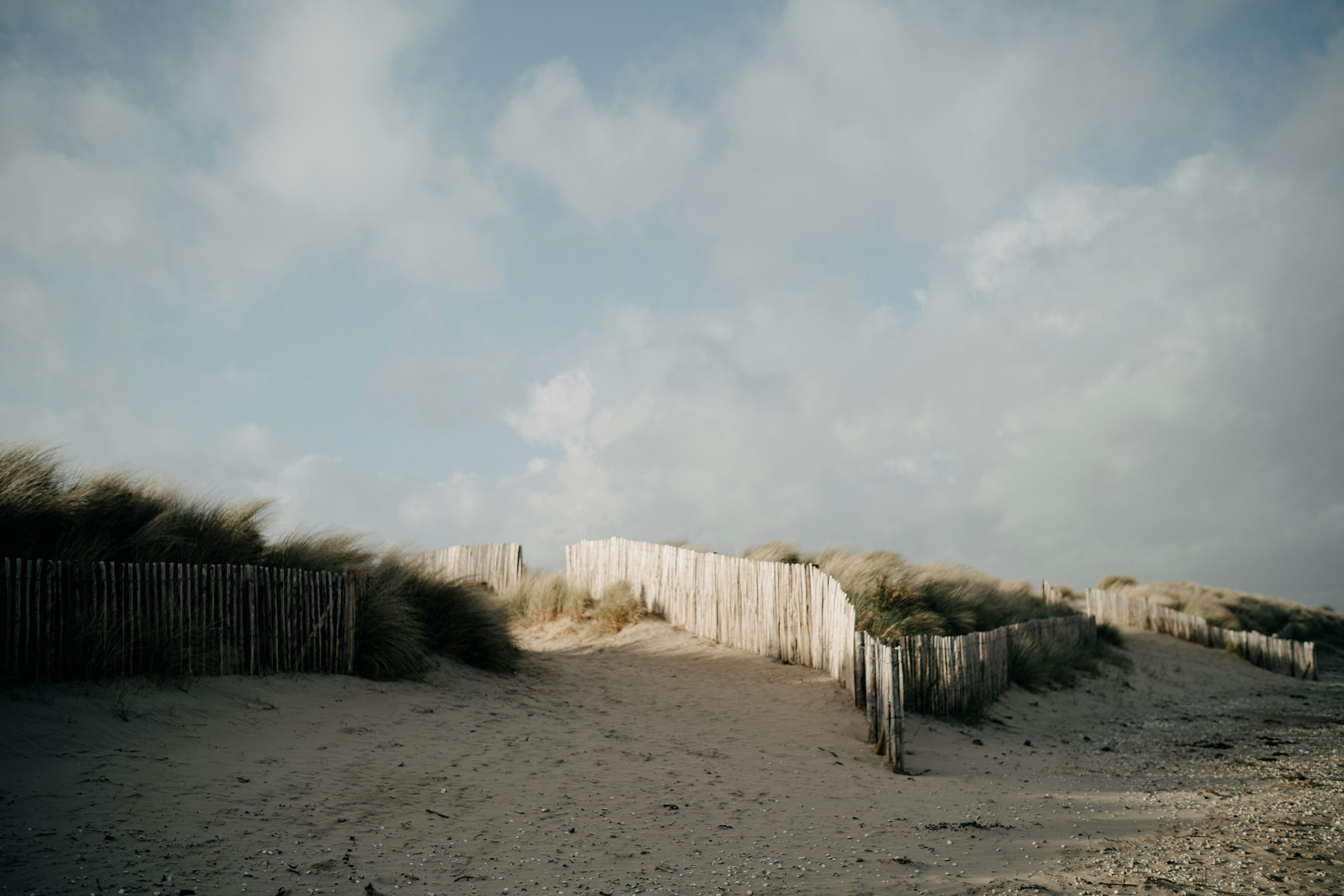 Photo by anniespratt