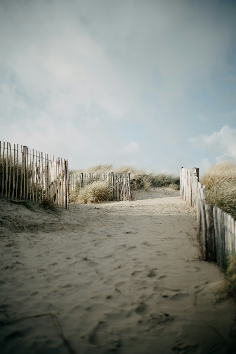 a sandy path leading to a sandy beach
