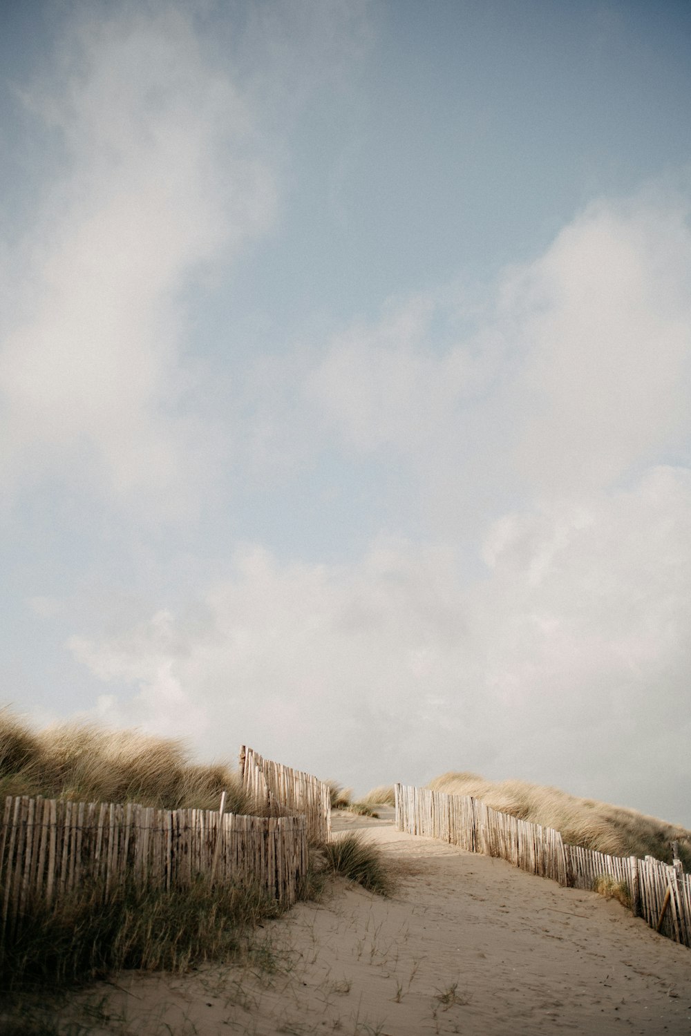 a sandy path leading to a sandy beach