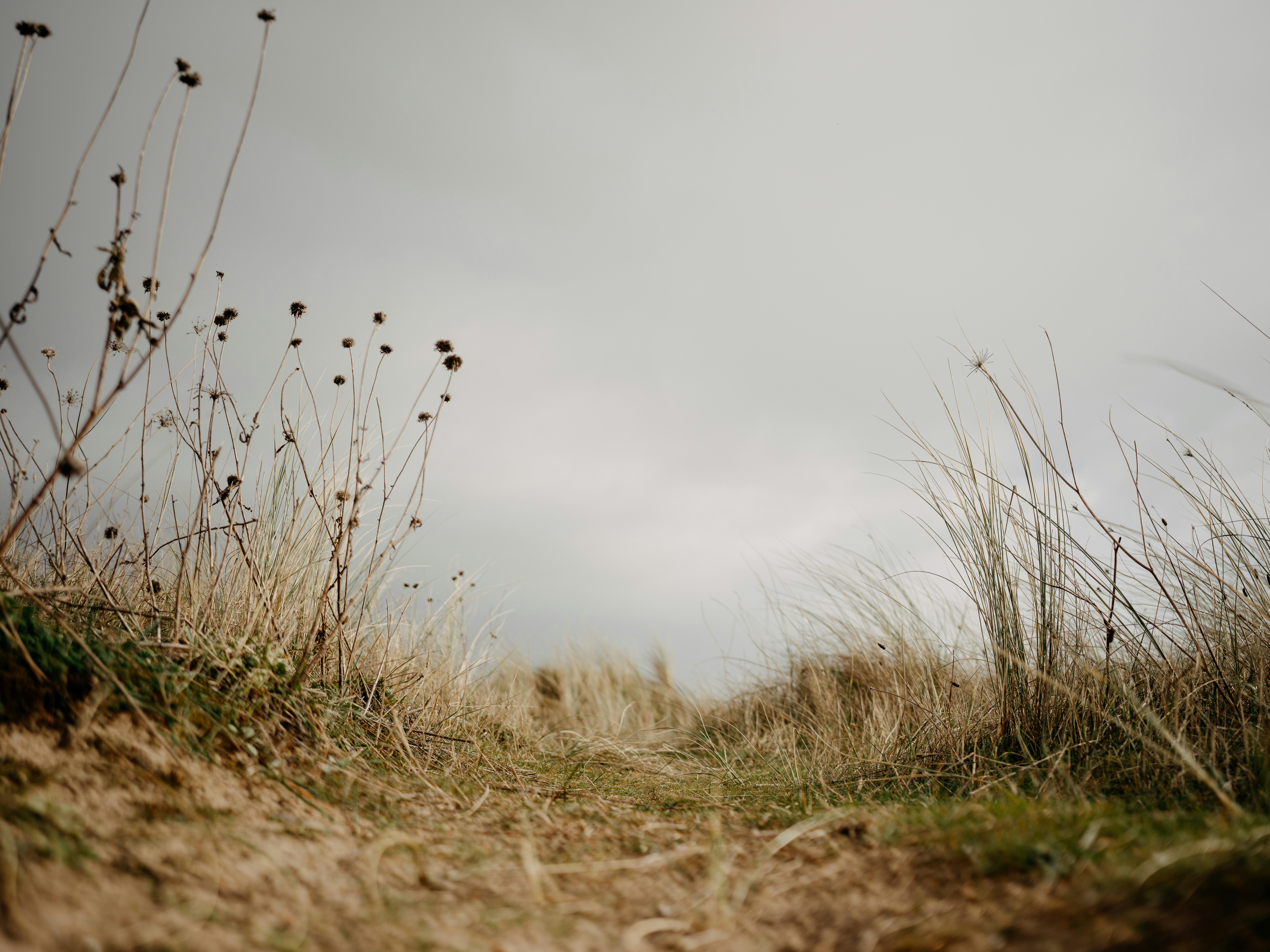 Photo by anniespratt