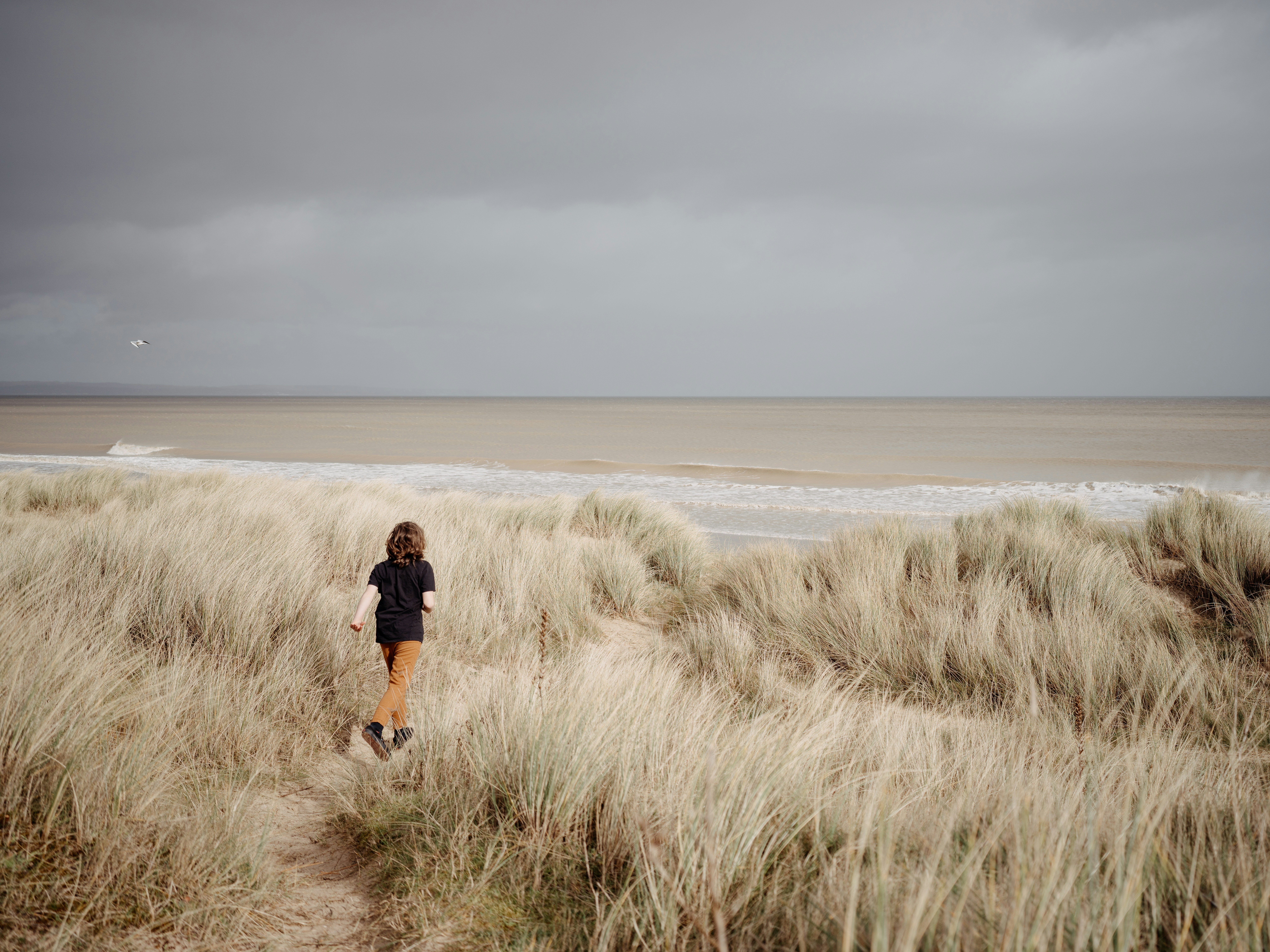 Photo by anniespratt