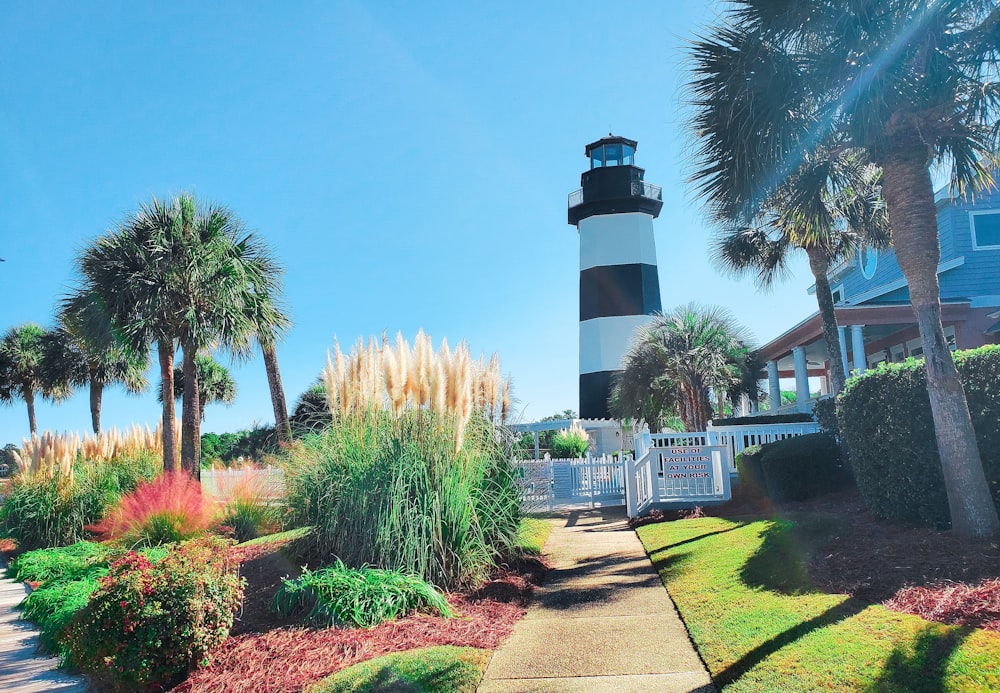 a black and white lighthouse surrounded by palm trees