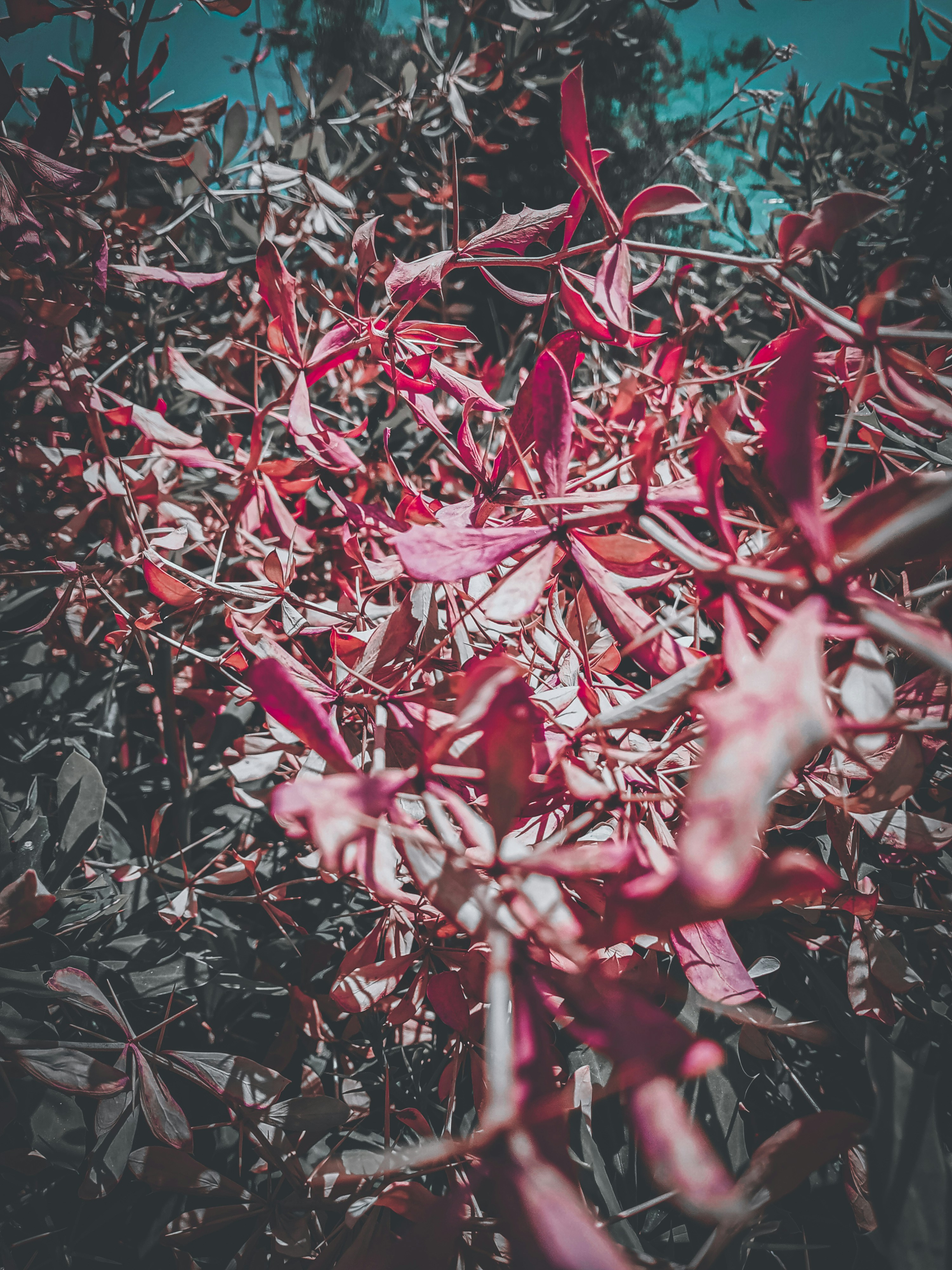 Photo by tahirwani_432