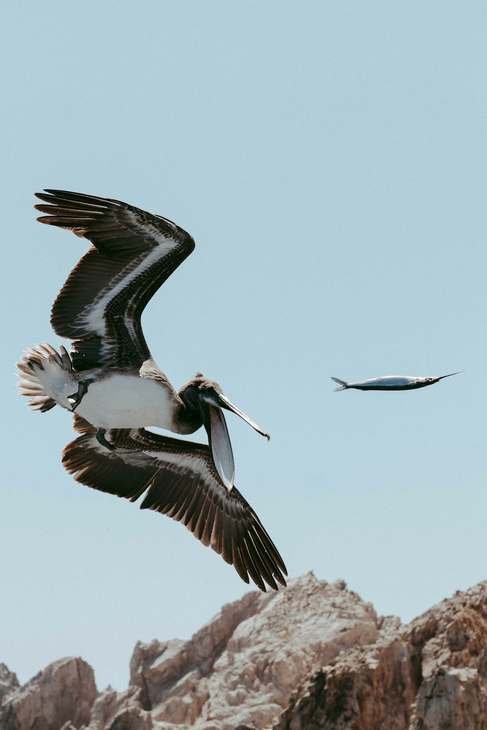 a large bird flying over a rocky mountain