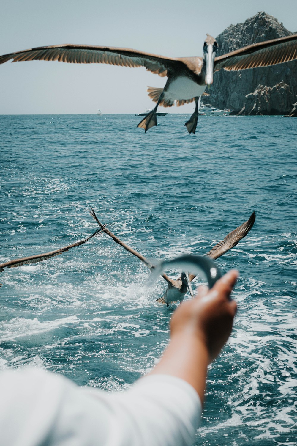 a bird flying over a body of water next to a person