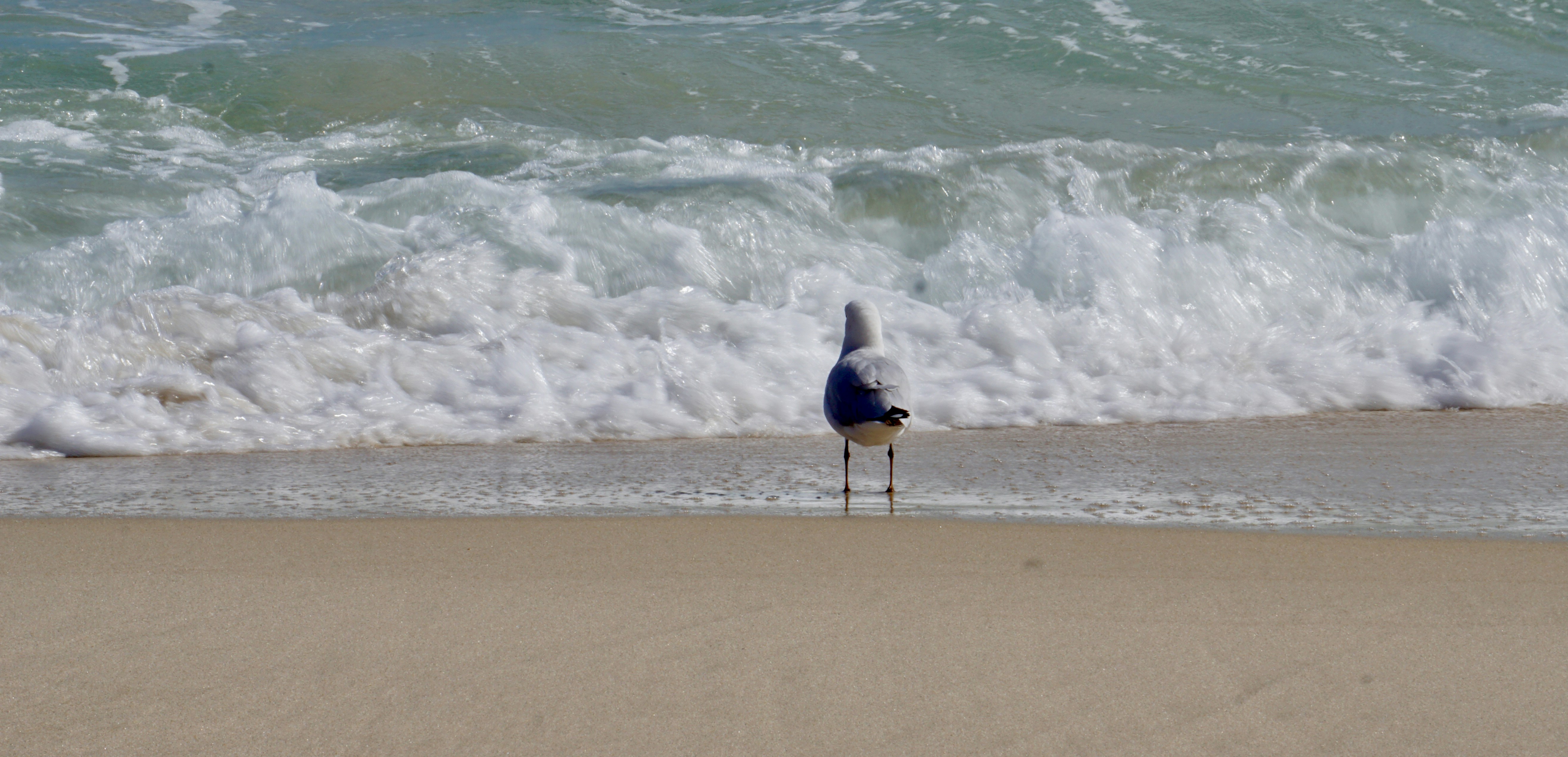 Pinnacles Desert limestone formations