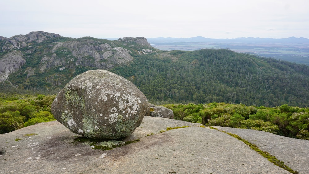 a large rock sitting on top of a lush green hillside