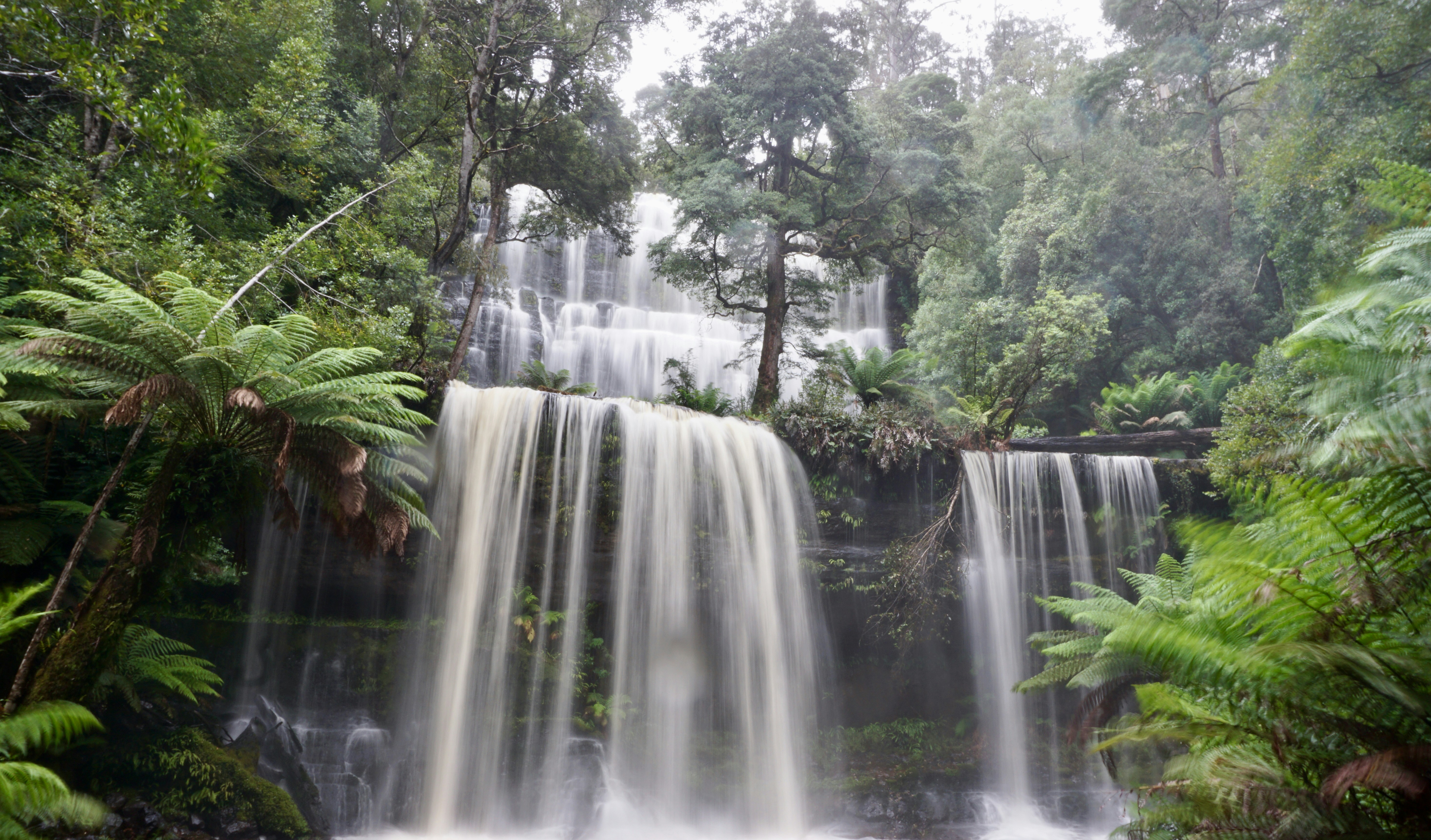 a large waterfall surrounded by lush green trees, 