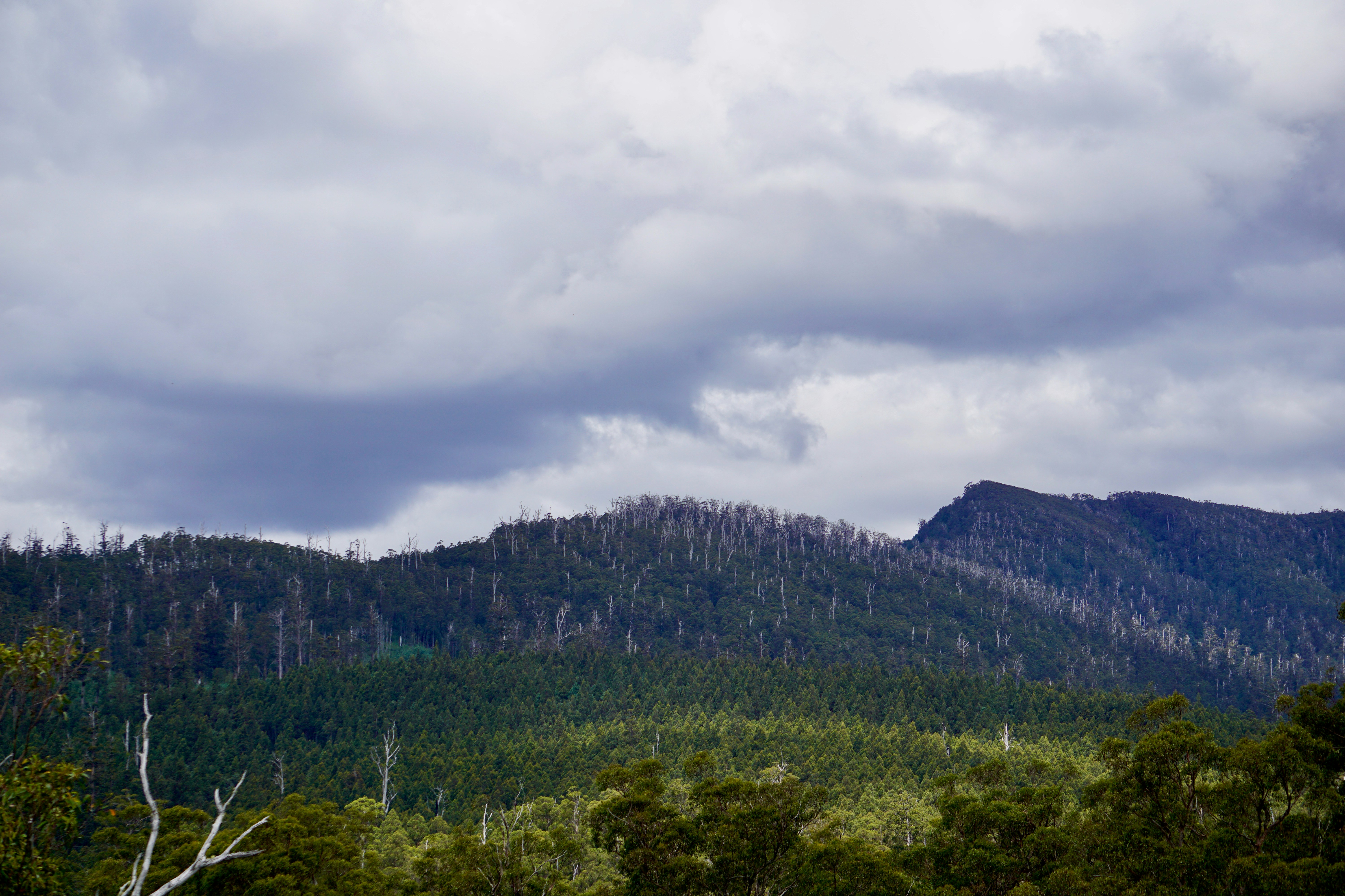 Tasmania, Australia - None