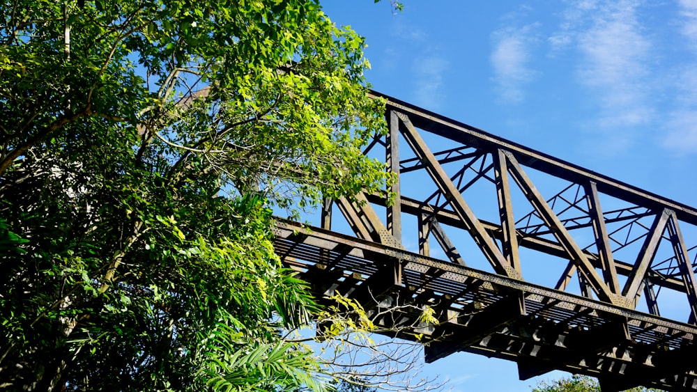 a train bridge over a river surrounded by trees