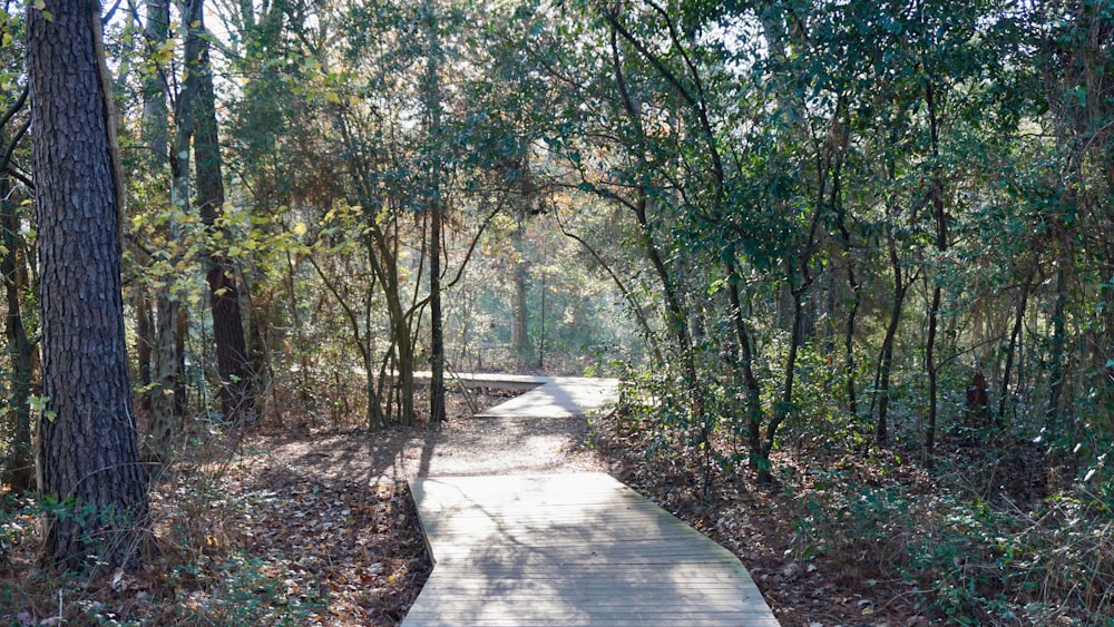 a wooden walkway in the middle of a forest