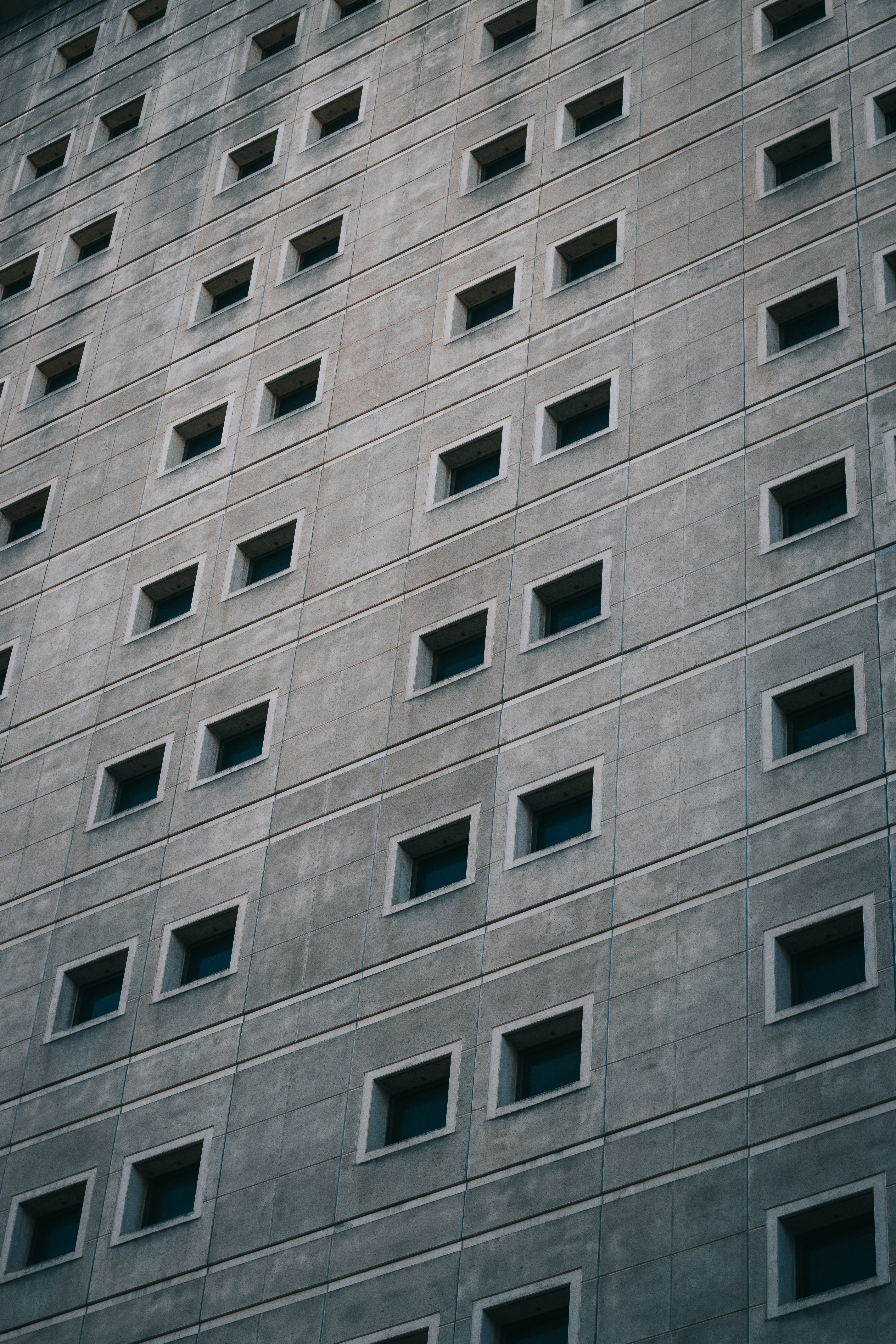 Photo by dynamite_luke