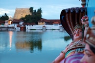 A panoramic view of the temple courtyard with multiple idols and devotees offering prayers.