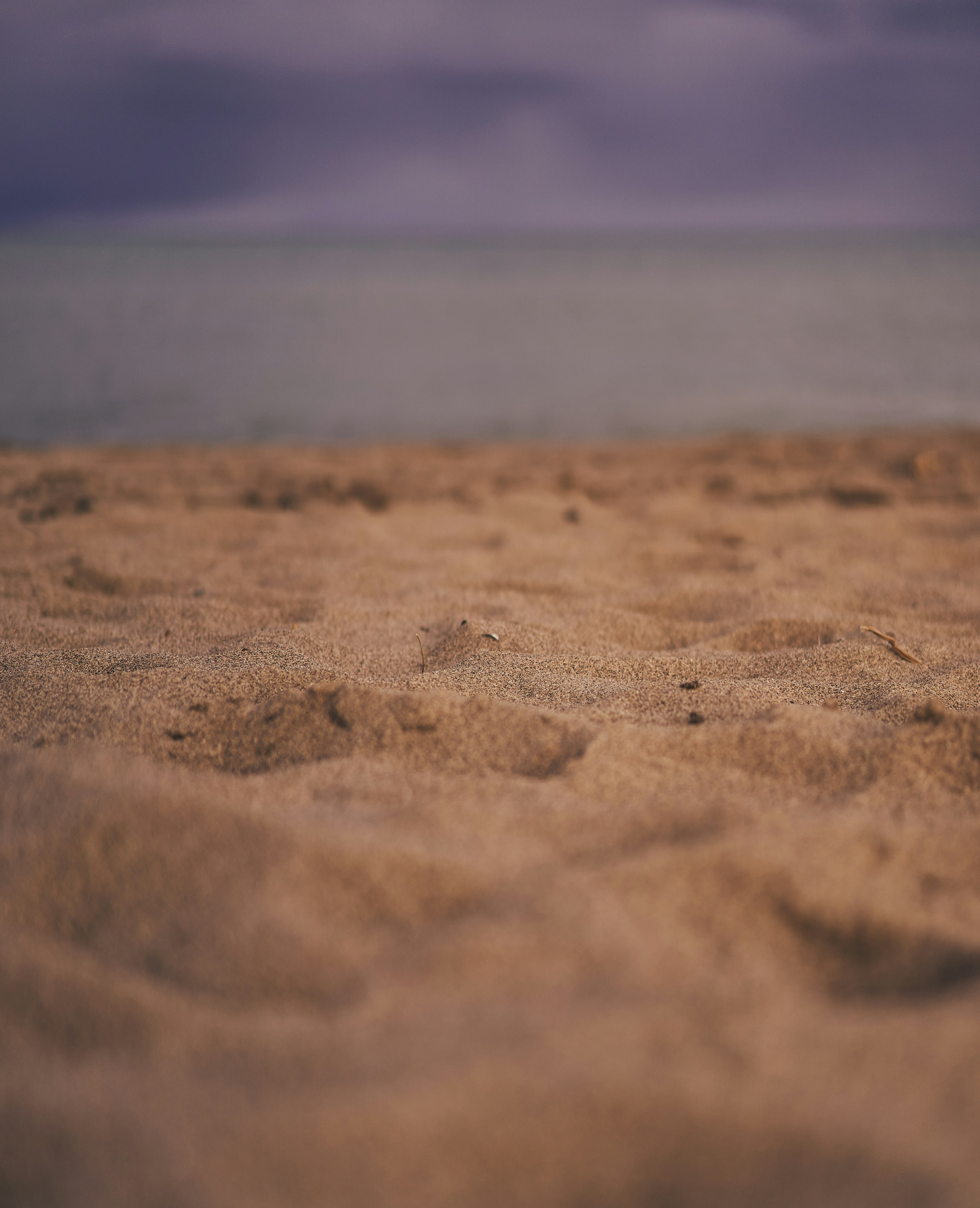 Photo by suicide_chewbacca