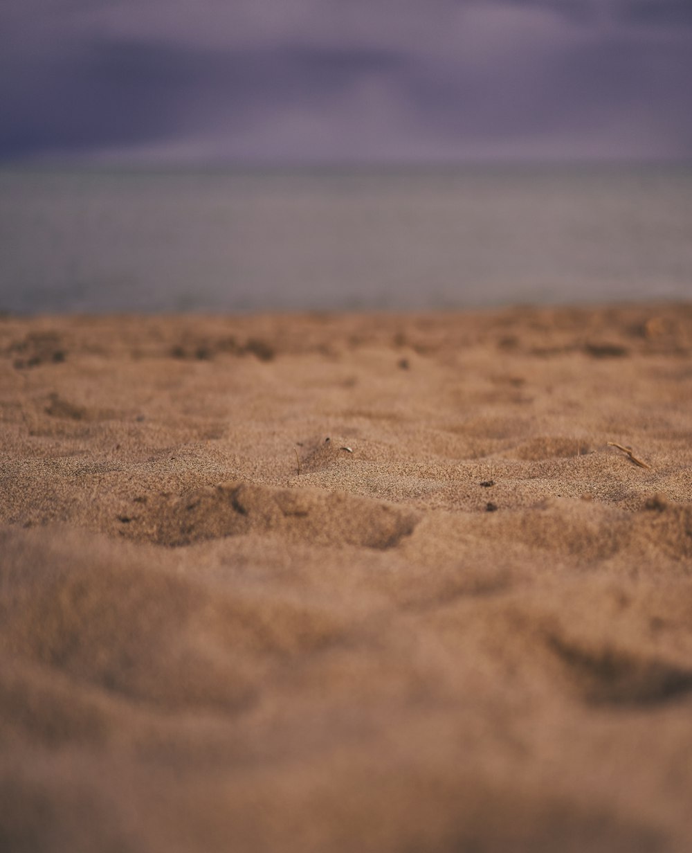 a close up of a sandy beach with a body of water in the background