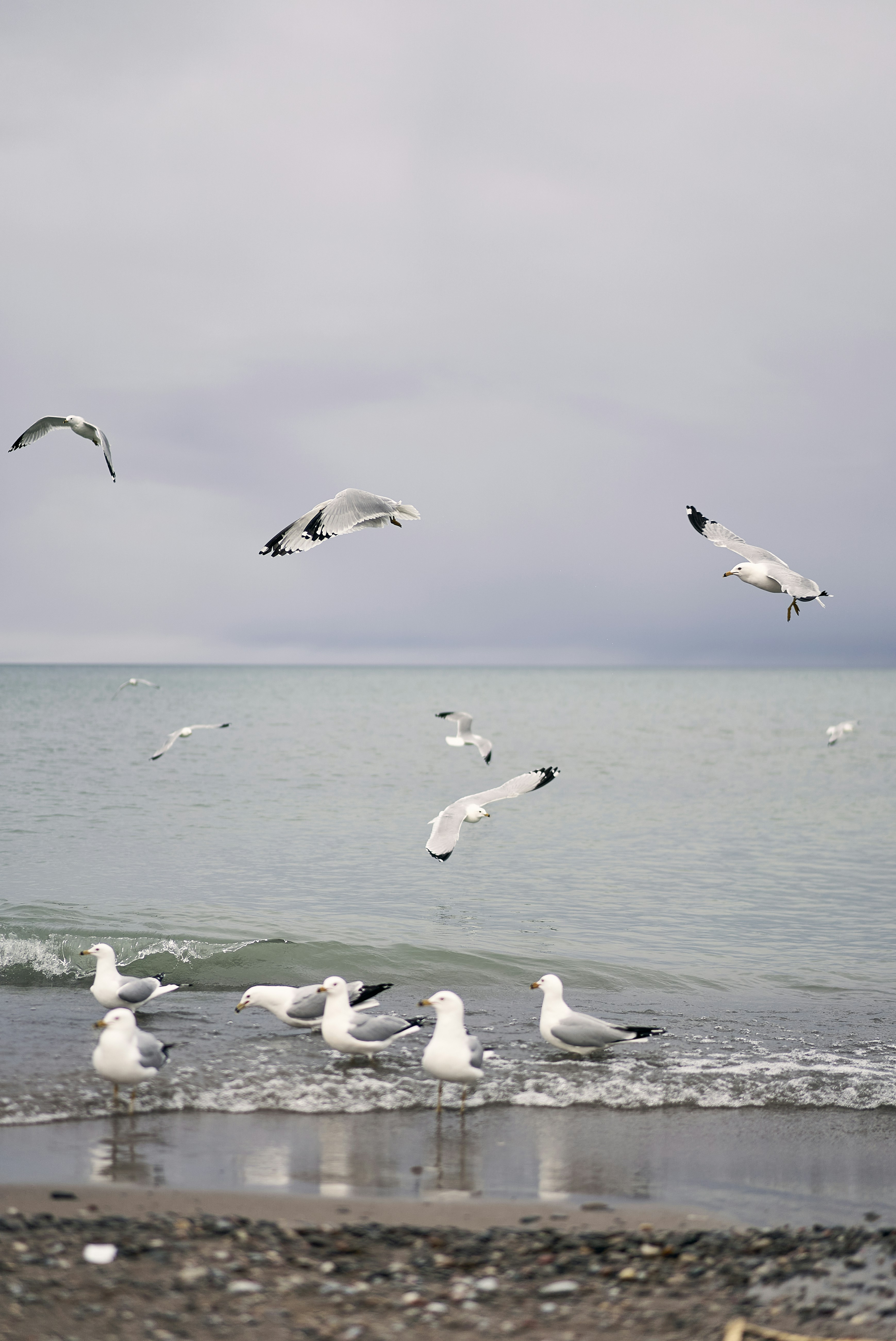 Photo by suicide_chewbacca