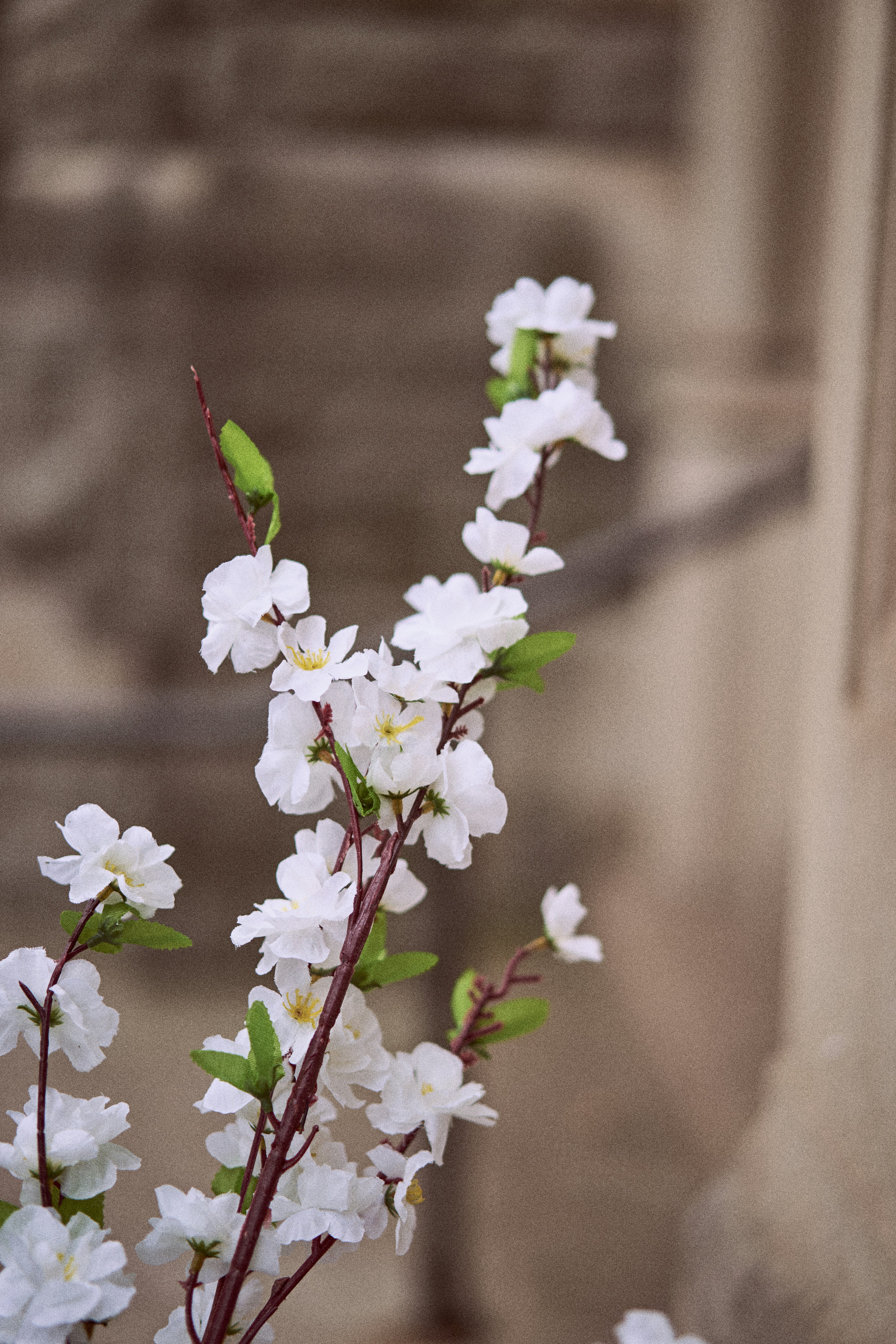 white flowers are in a vase on a table