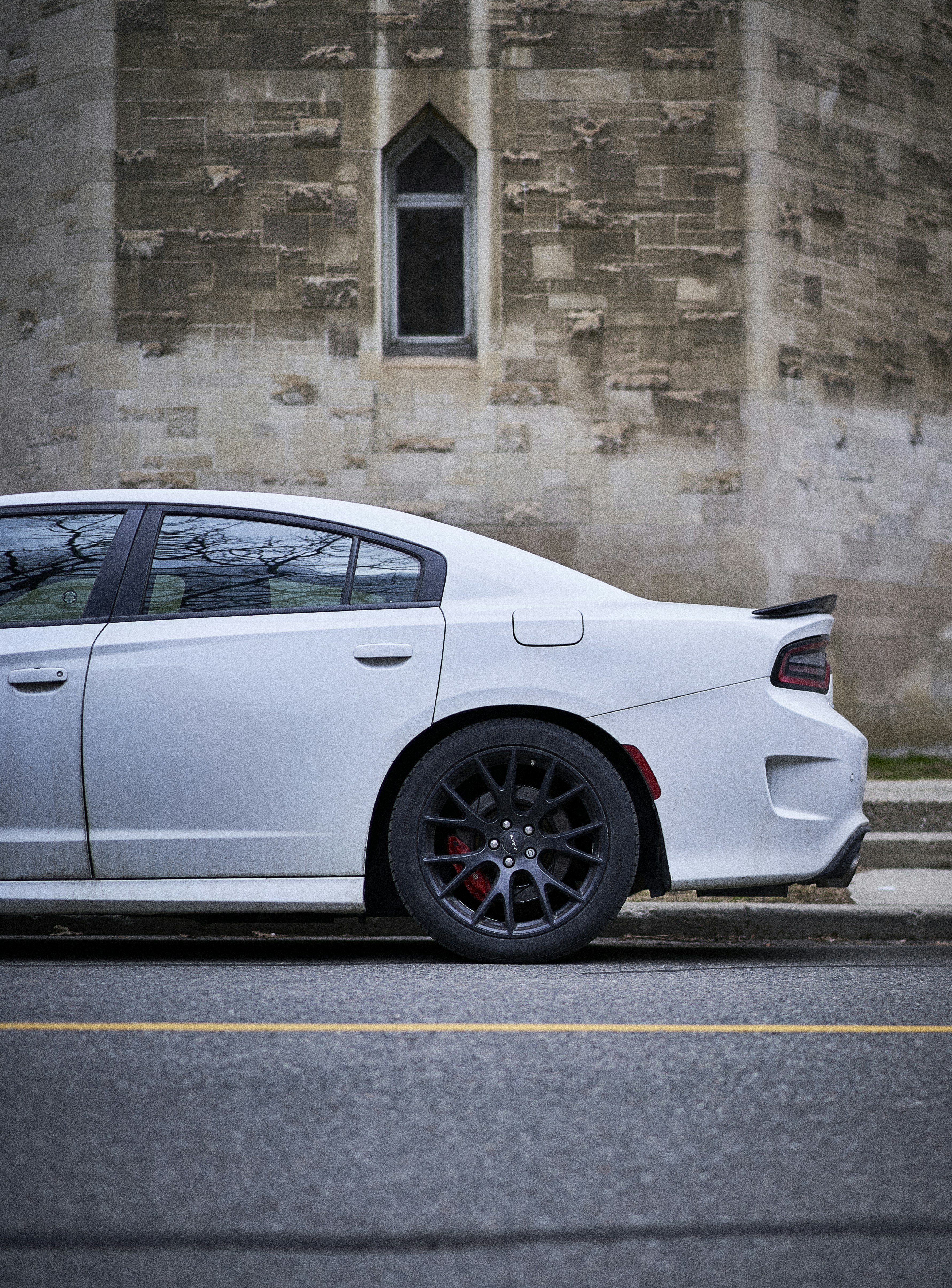 Photo by suicide_chewbacca