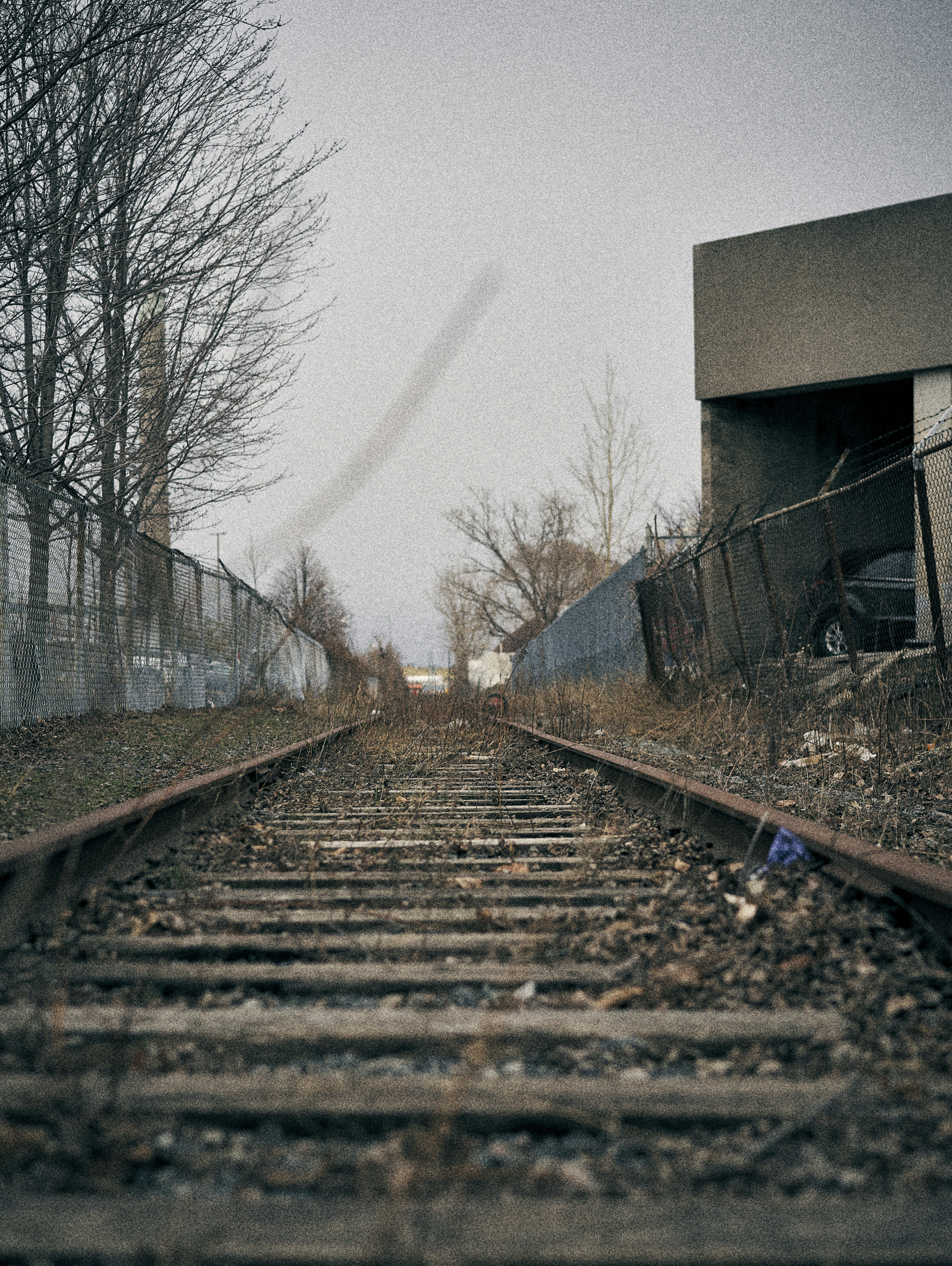Photo by suicide_chewbacca